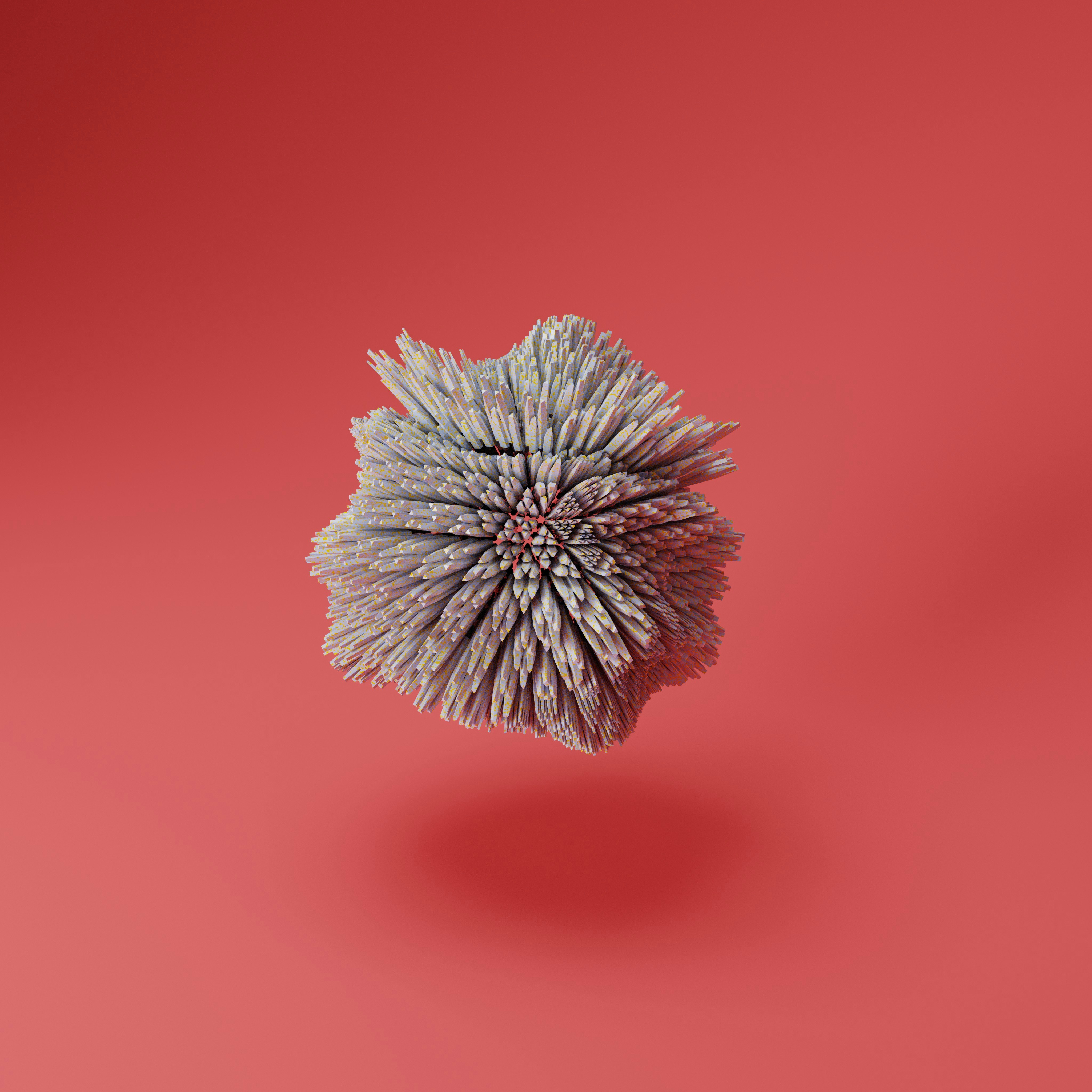 Photo by components_ai