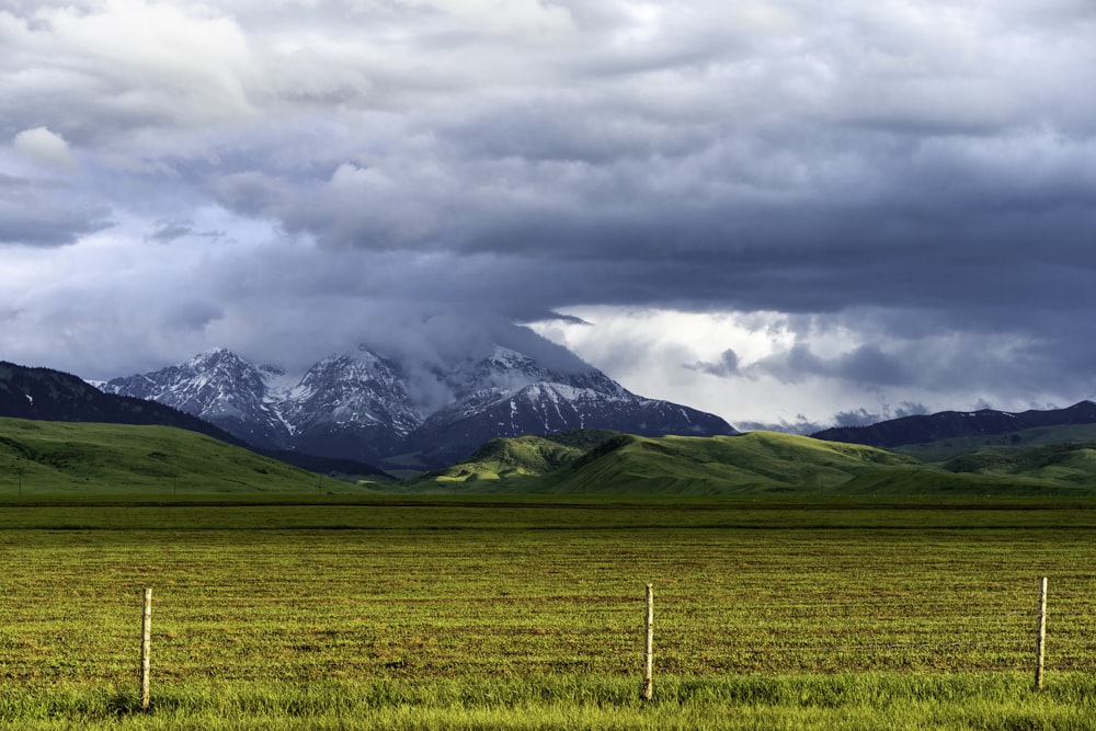 a field with mountains in the background