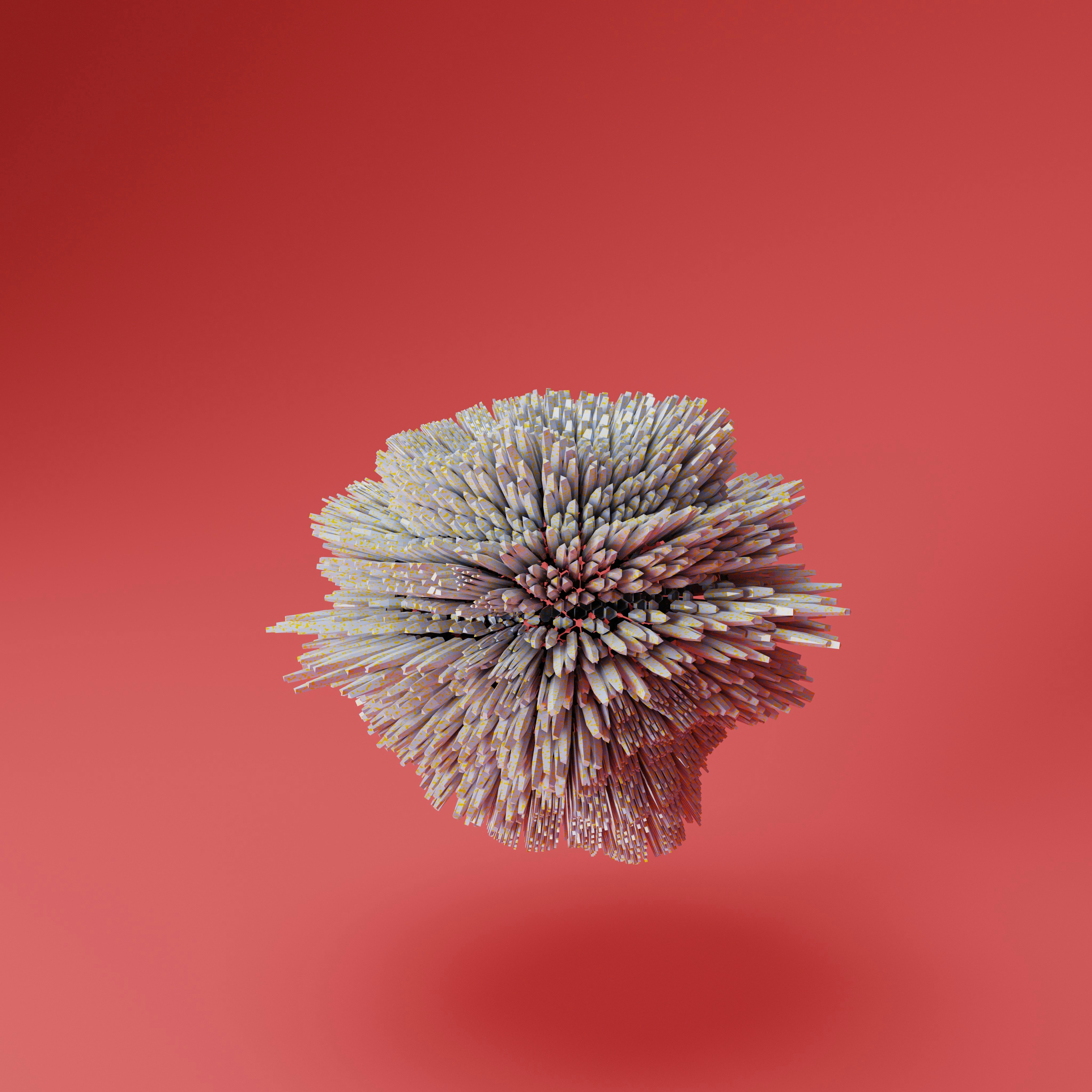 Photo by components_ai