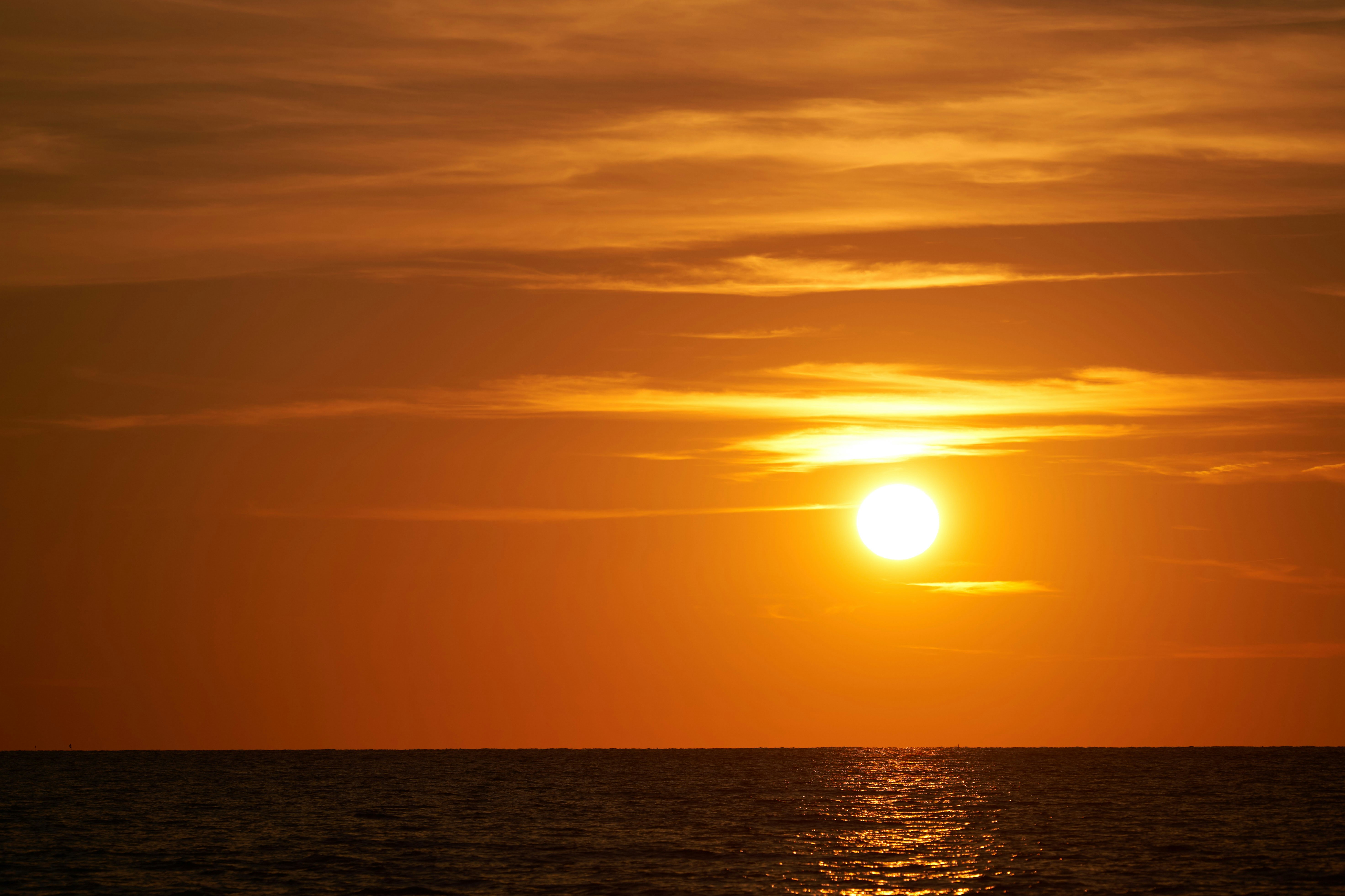 Photo by wolfgang_hasselmann