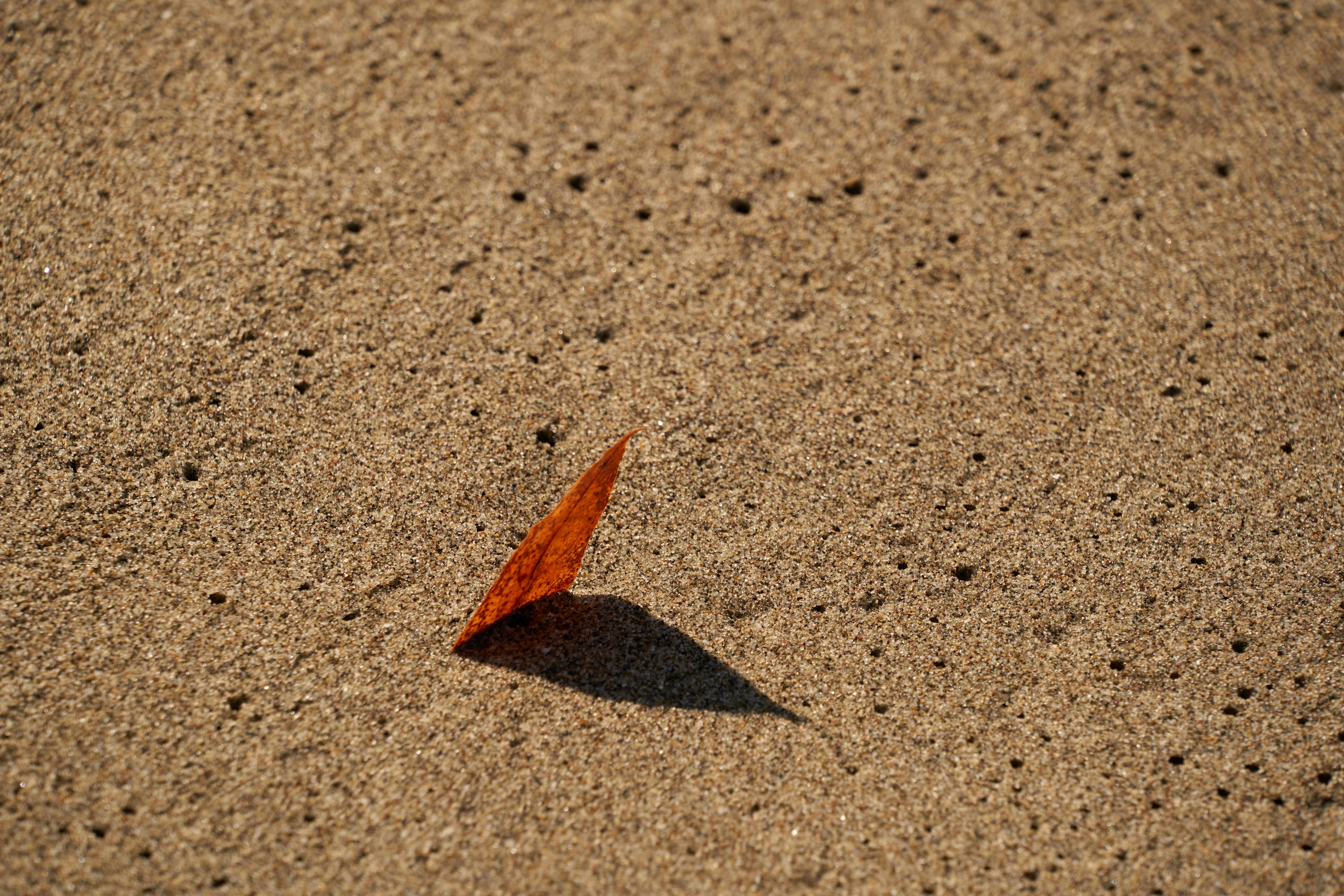 Photo by wolfgang_hasselmann