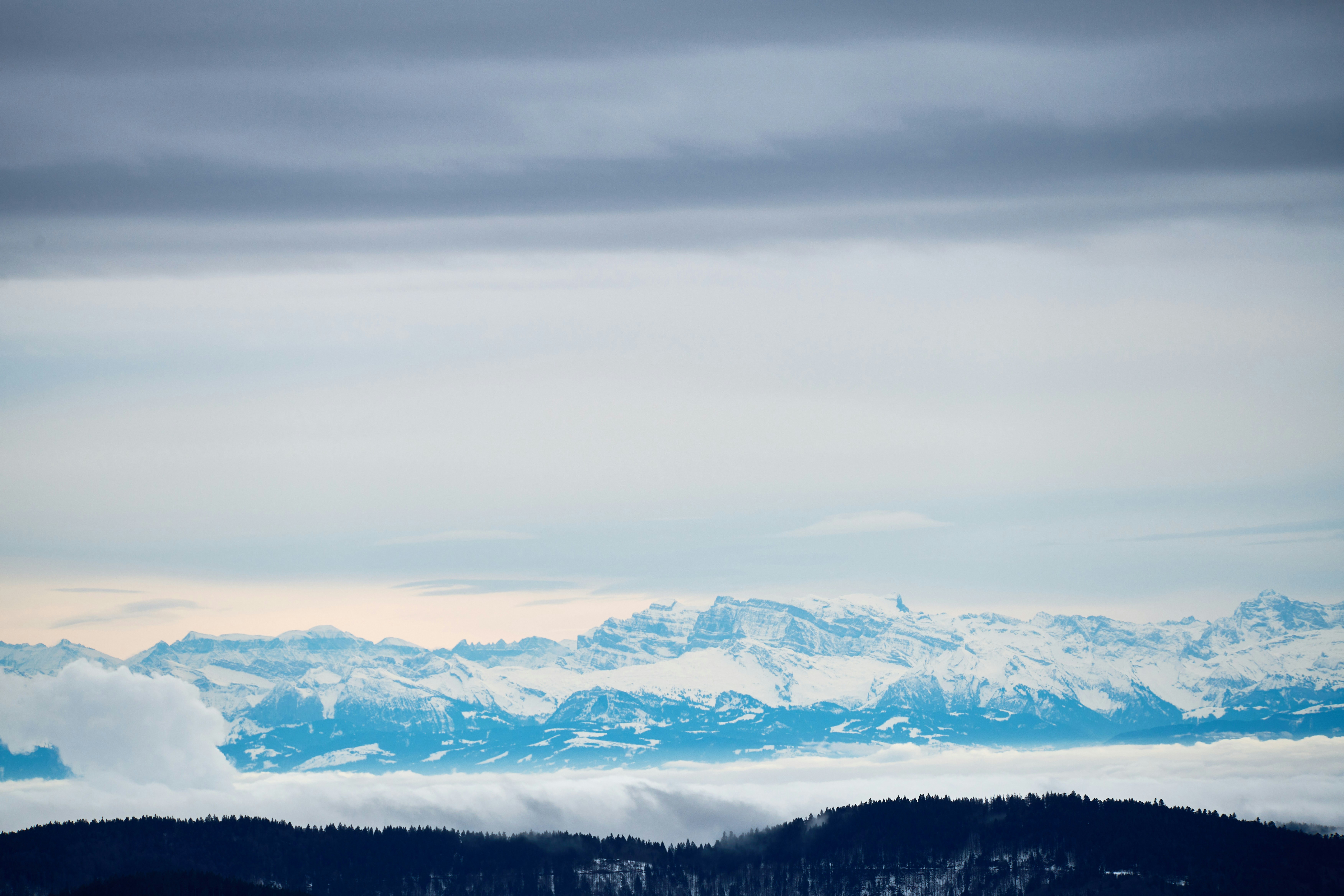 Photo by wolfgang_hasselmann