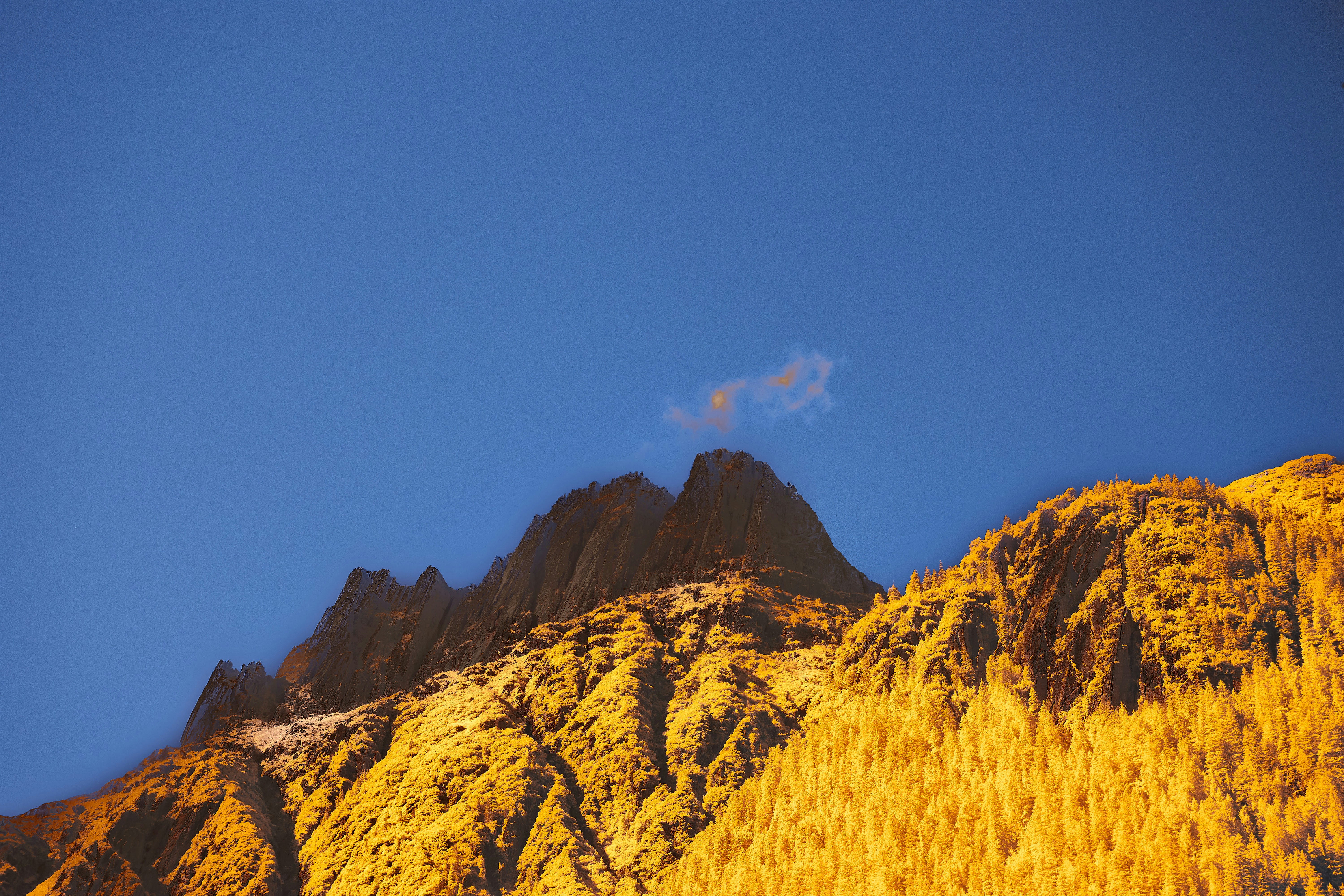 Thomas Mountain Yellow Post 7