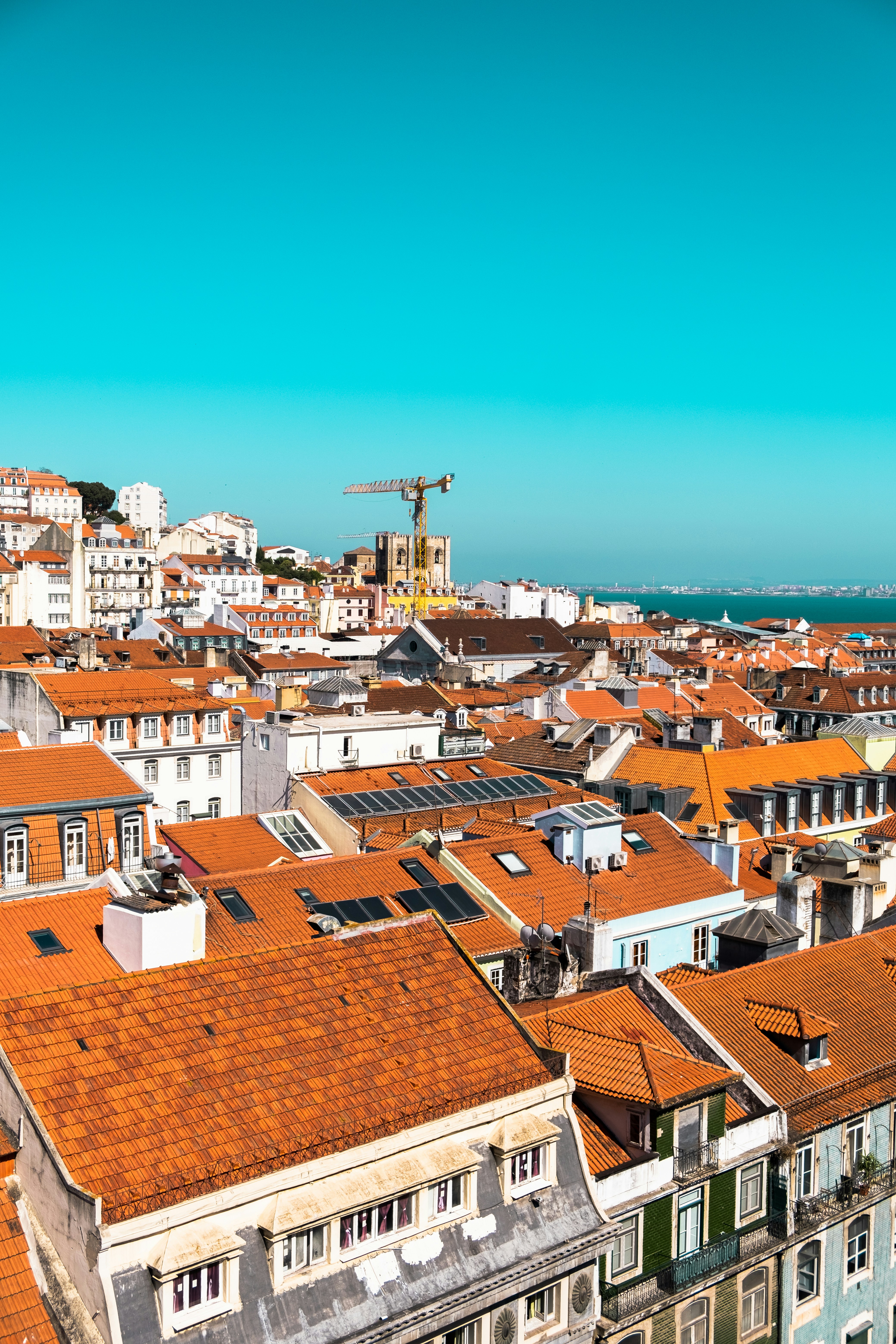 Photo by alexandru_stavrica