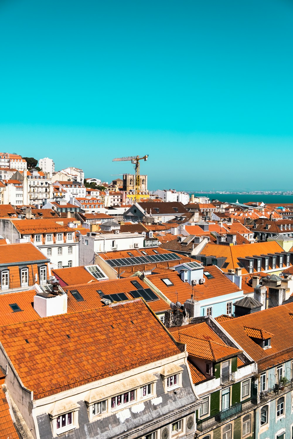 a city with many rooftops