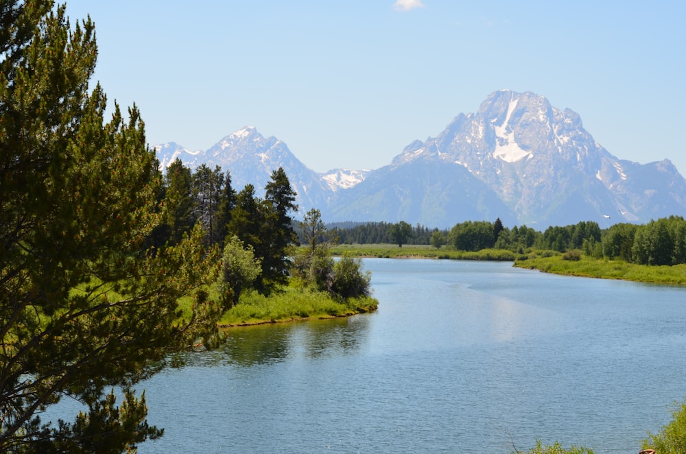 a river with trees and mountains in the background