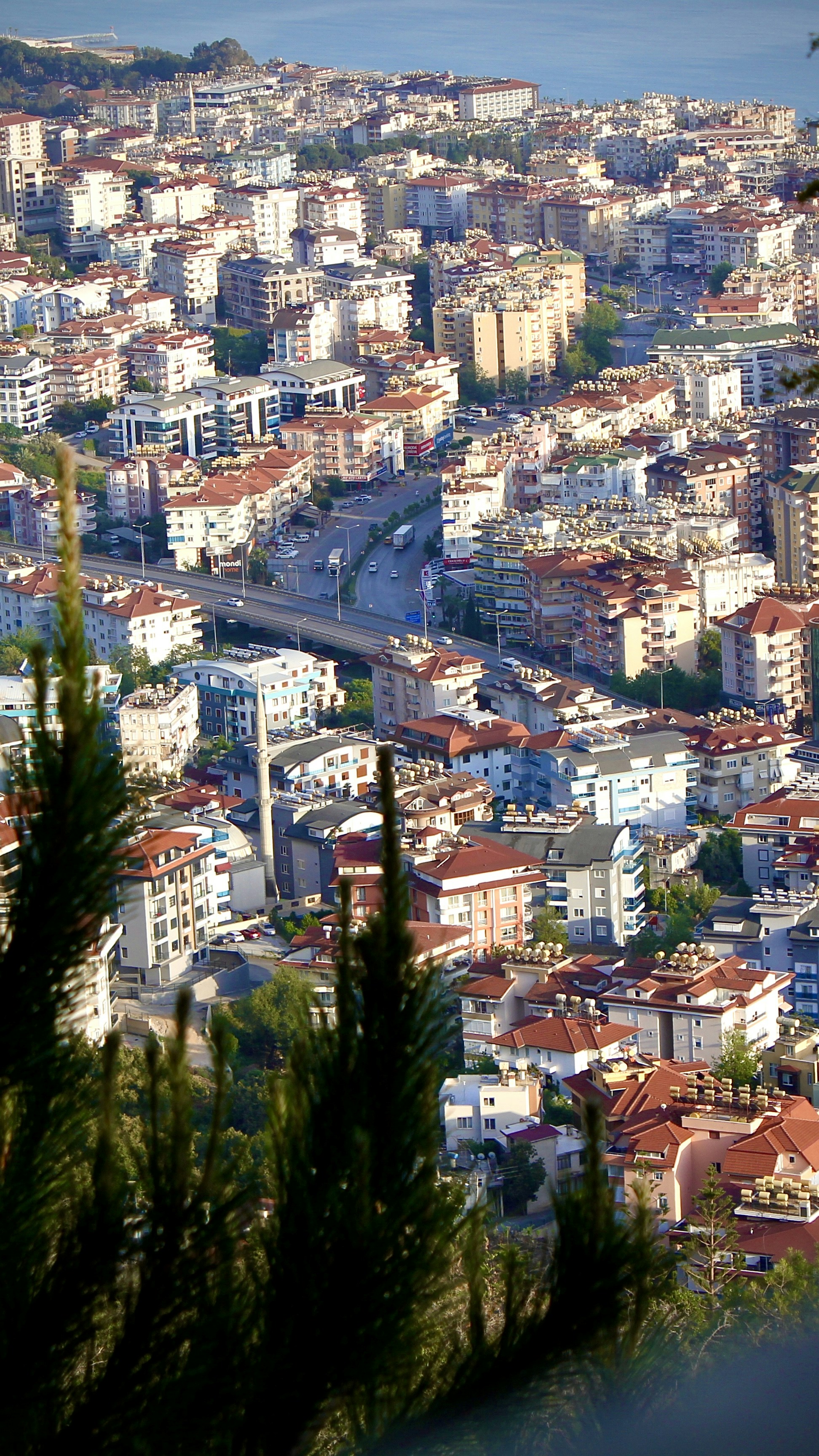 Containers in Dardanelle, AR