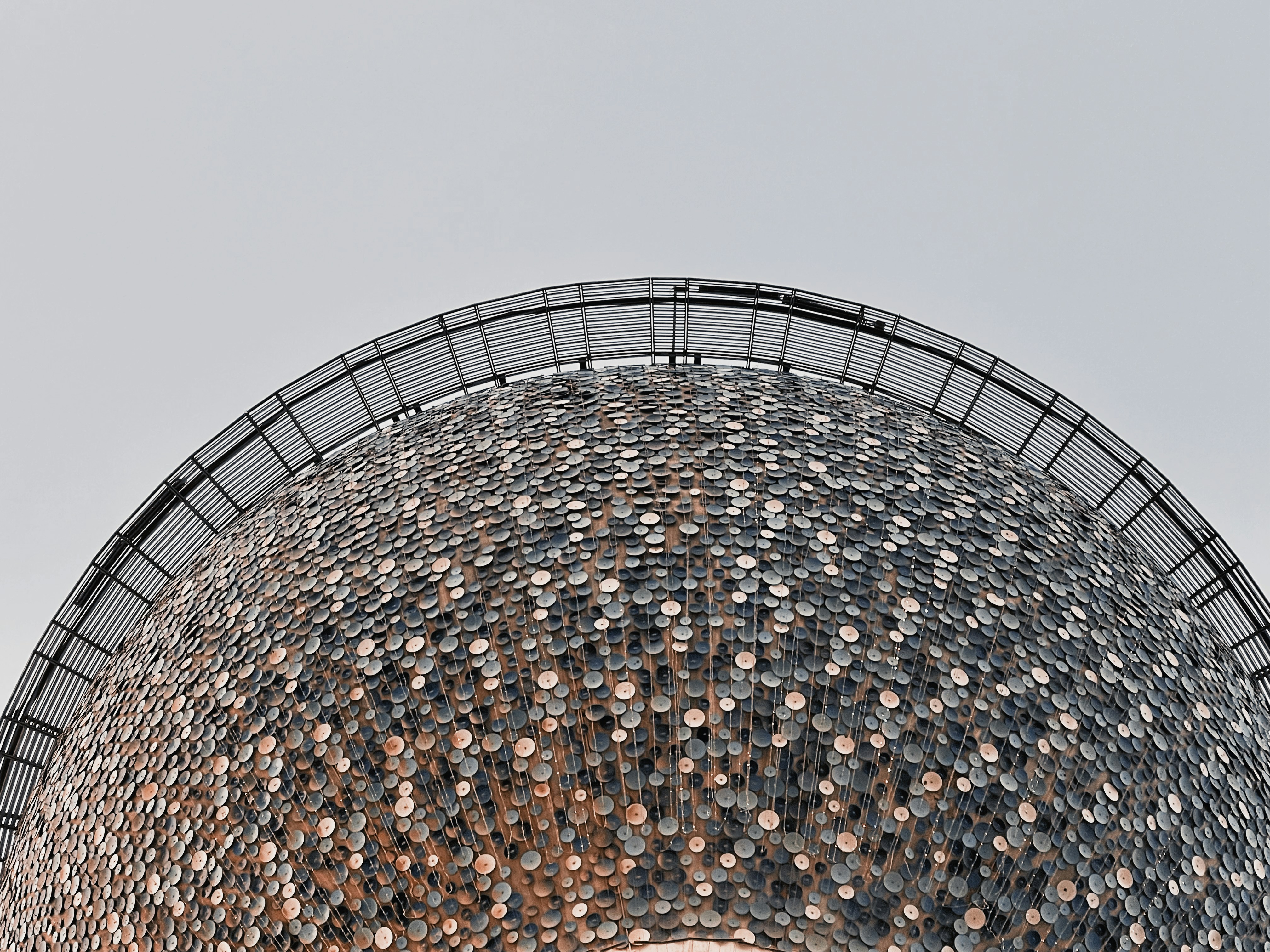 um grande grupo de abelhas