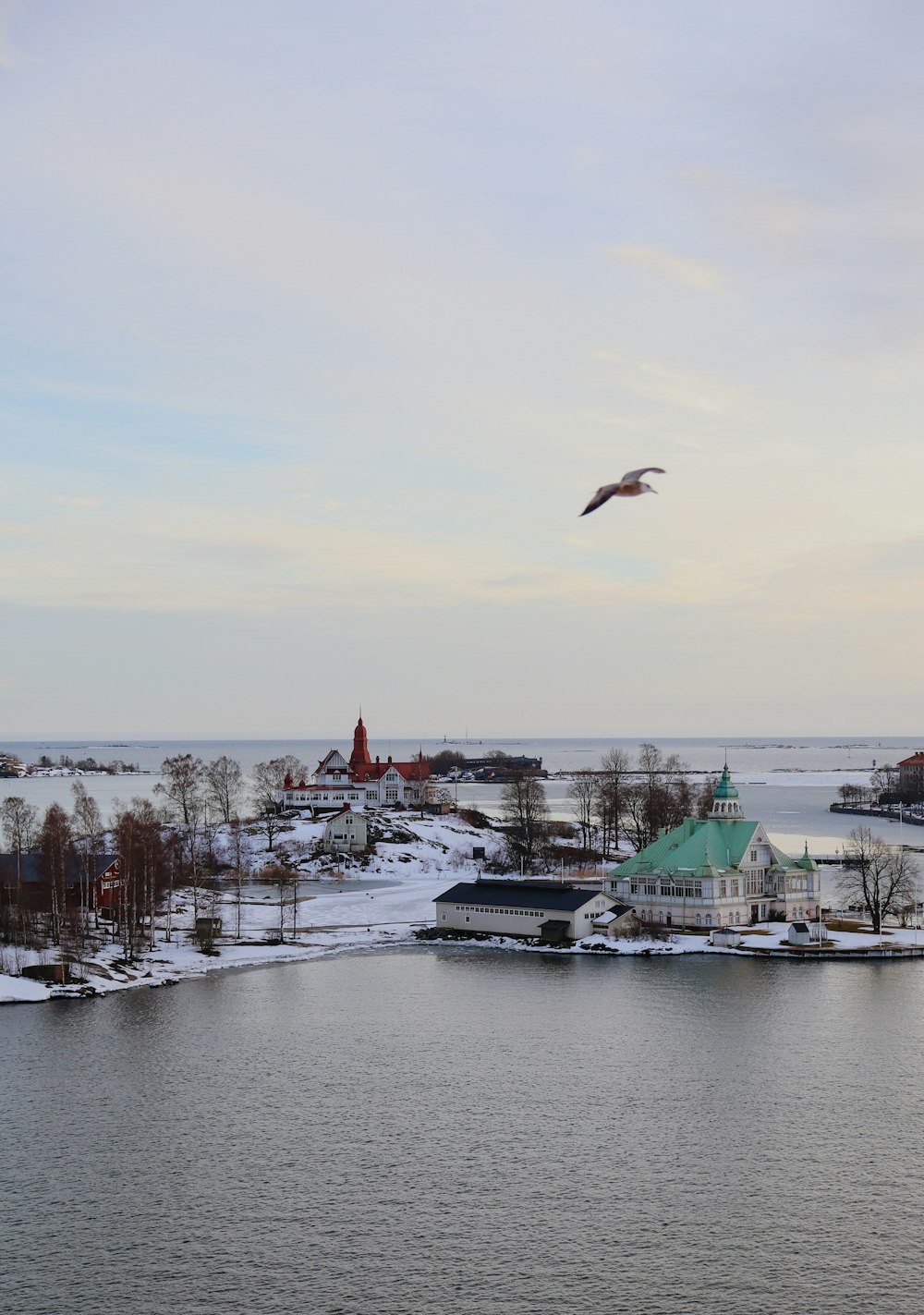 a bird flying over a lake