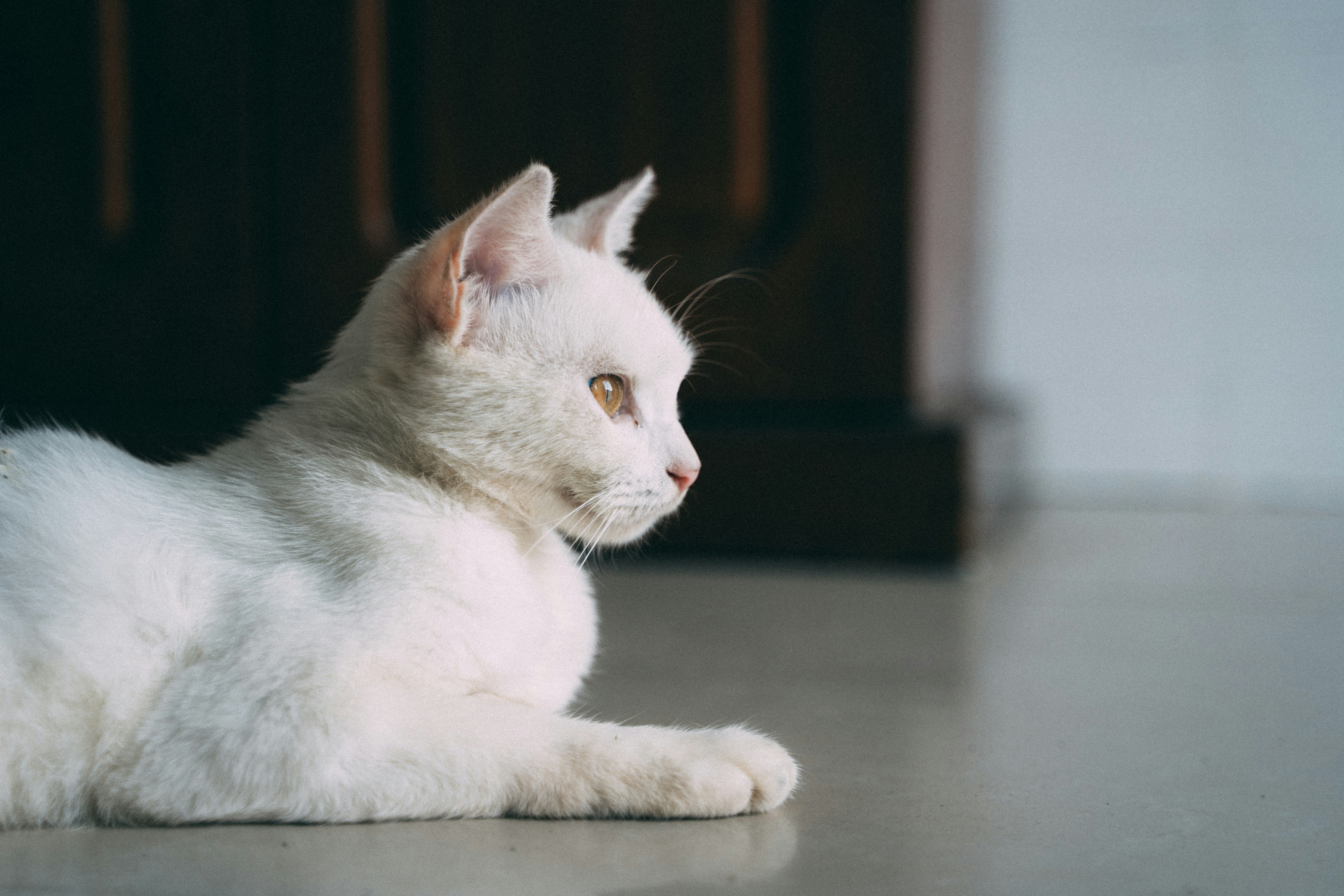 Photo by yooho962464