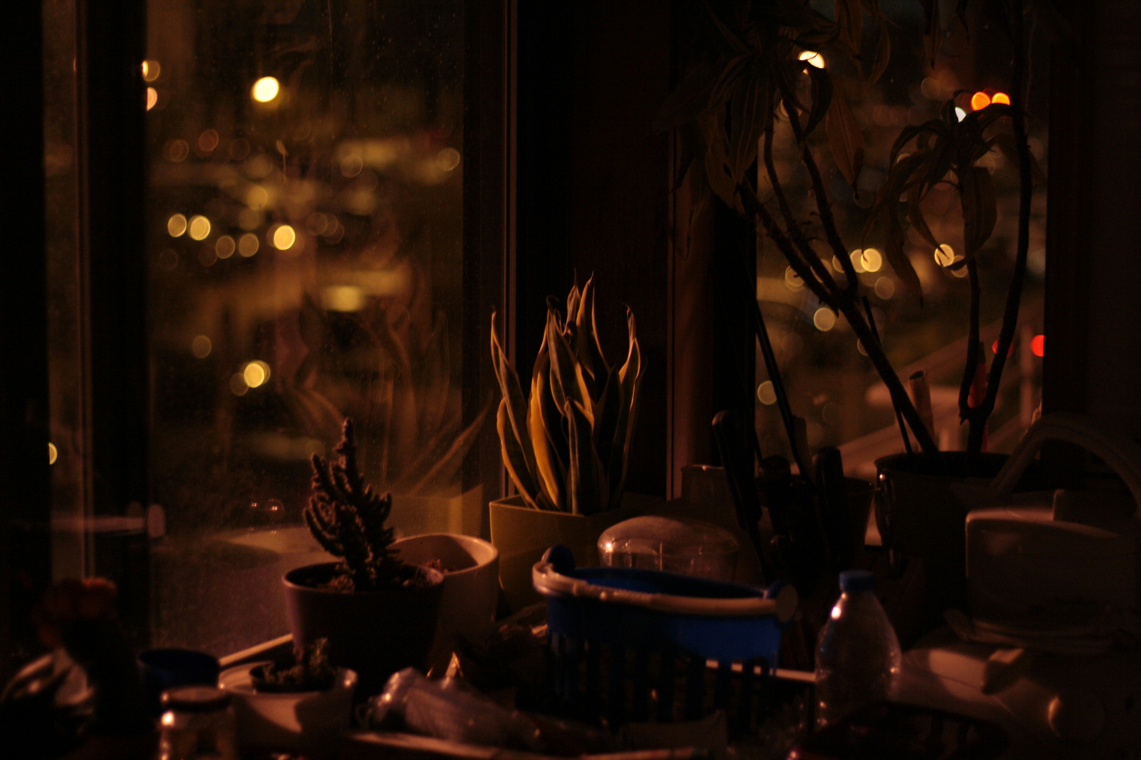 Photo by canon1000denthusiast