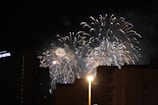 Fireworks lighting up the night sky during the carnival celebration.