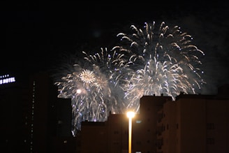 Bright and festive fireworks lighting up the Salvador night sky.