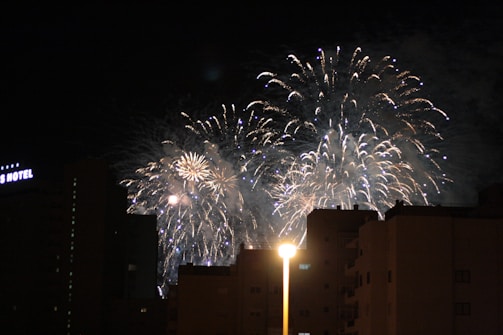 Fireworks lighting up the night sky during the carnival celebration.