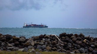 a large ship in the water