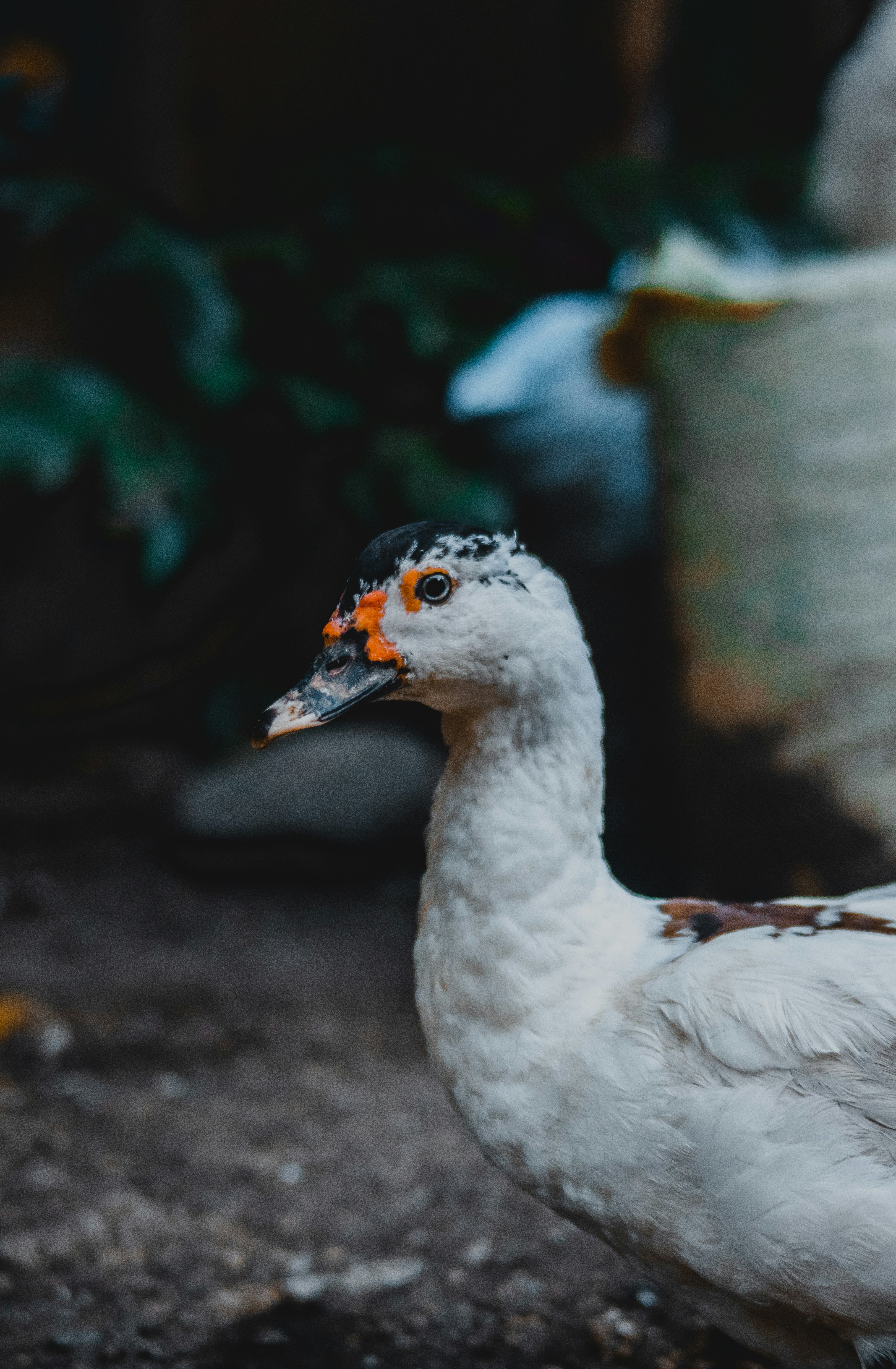 Photo by roadahead_2223