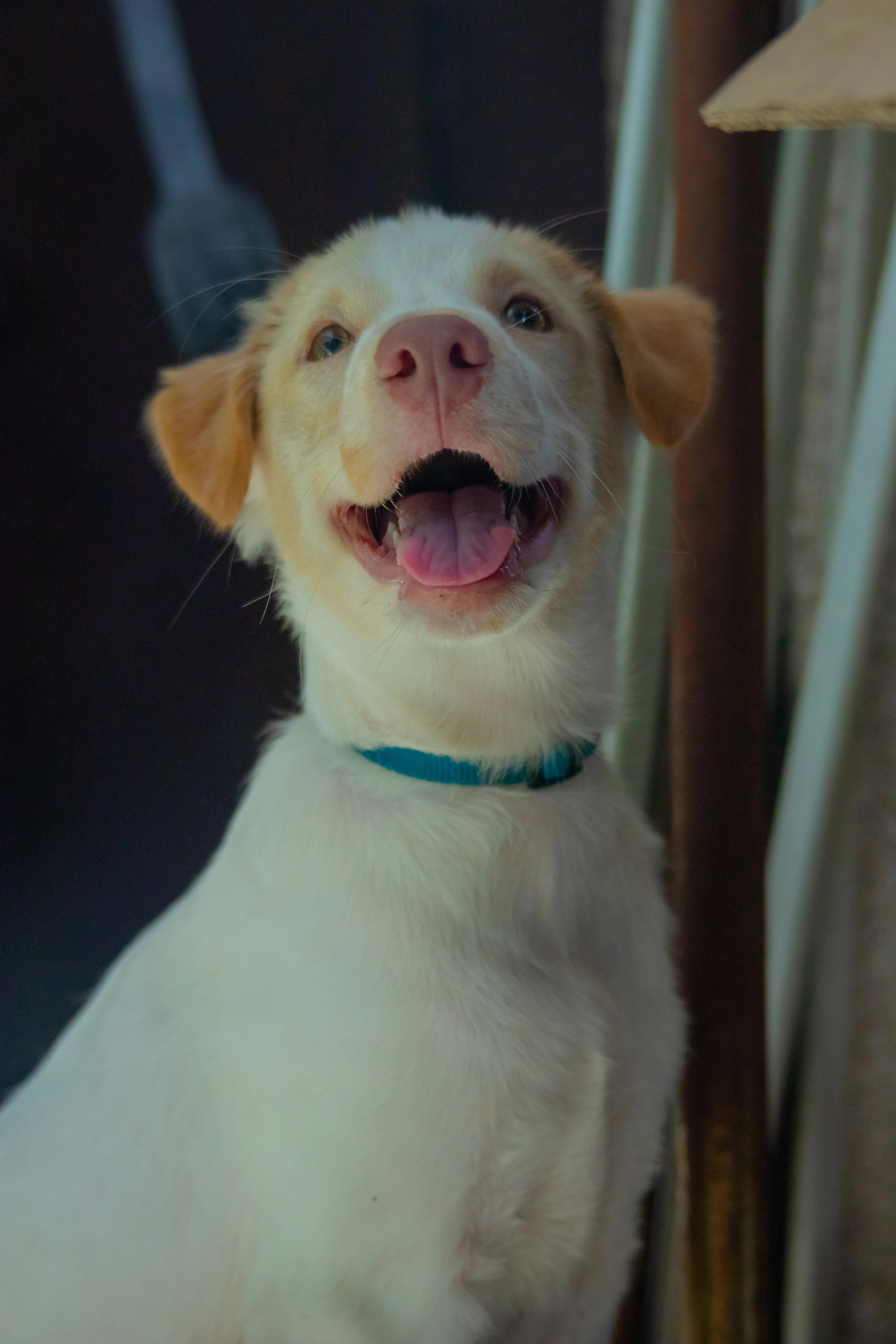 Photo by roadahead_2223