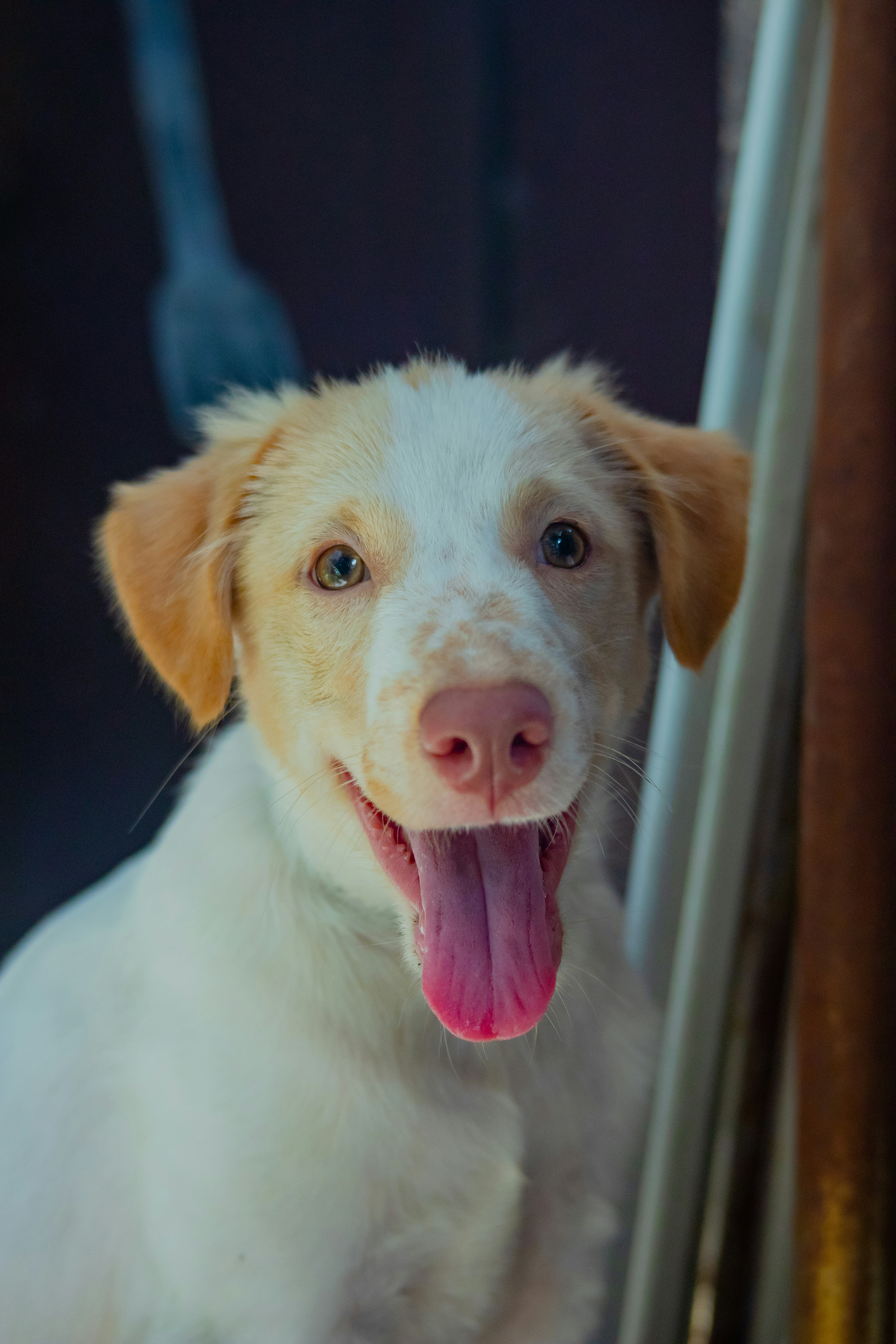 Photo by roadahead_2223