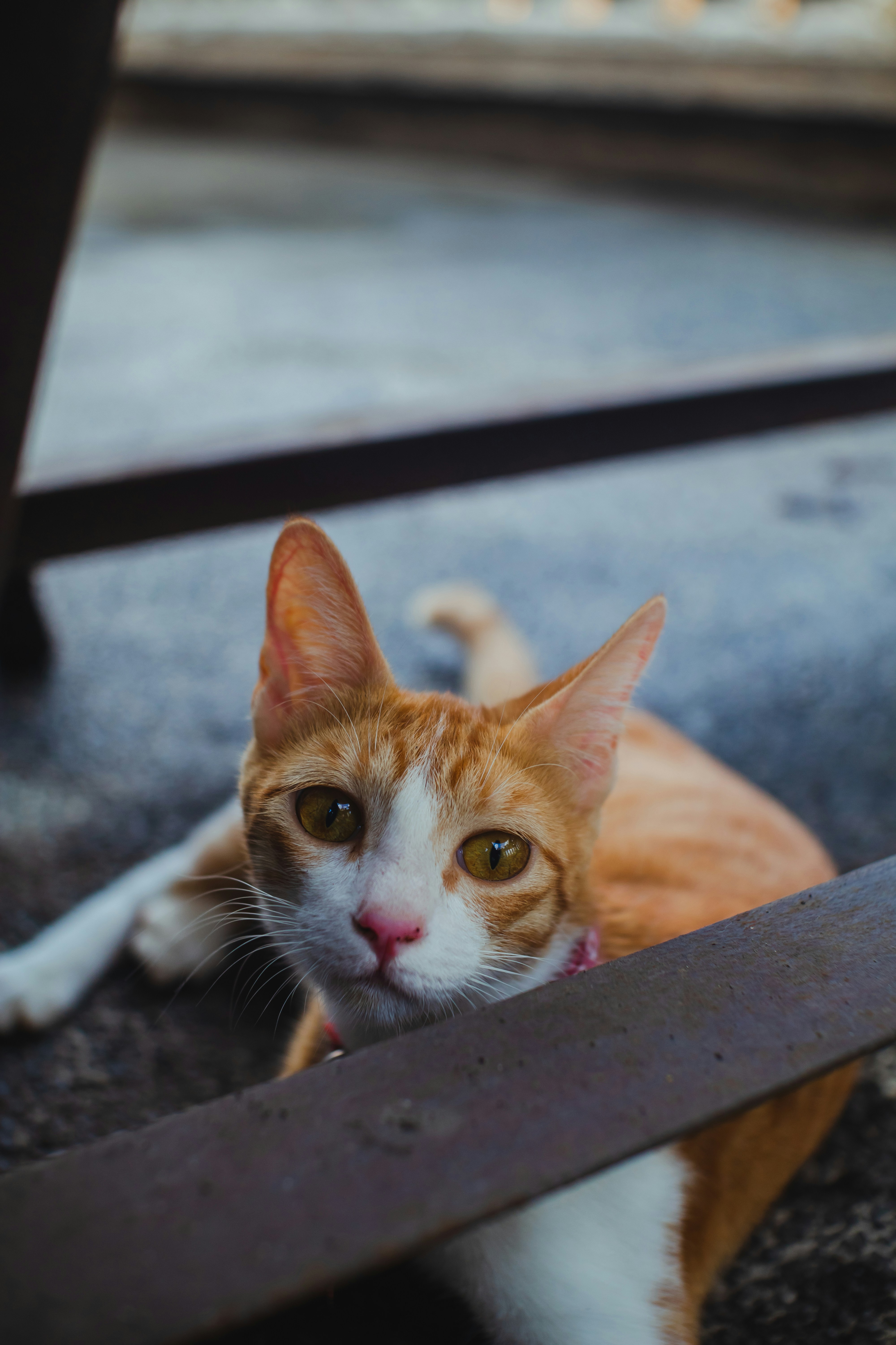 Photo by roadahead_2223