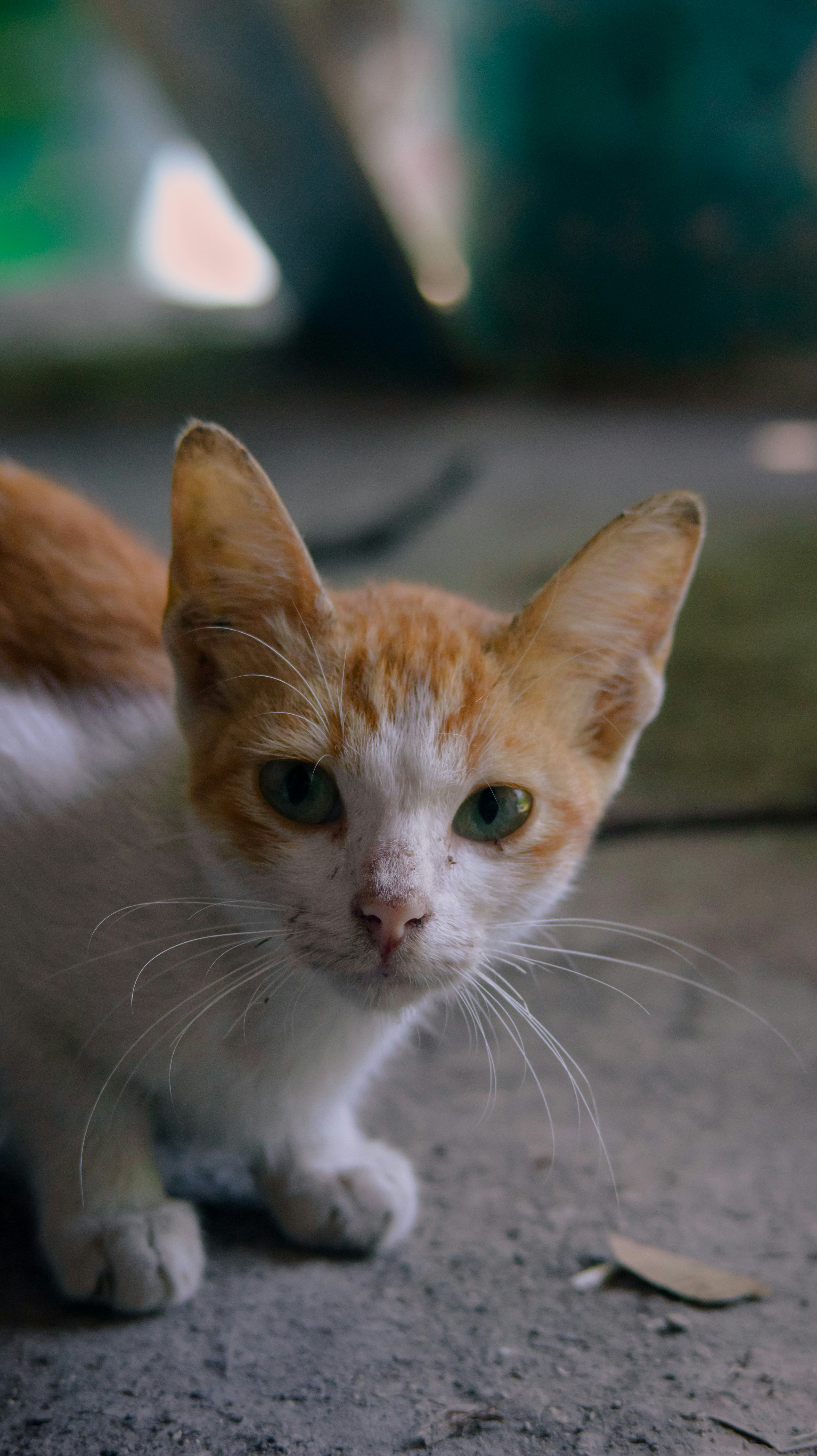 Photo by roadahead_2223