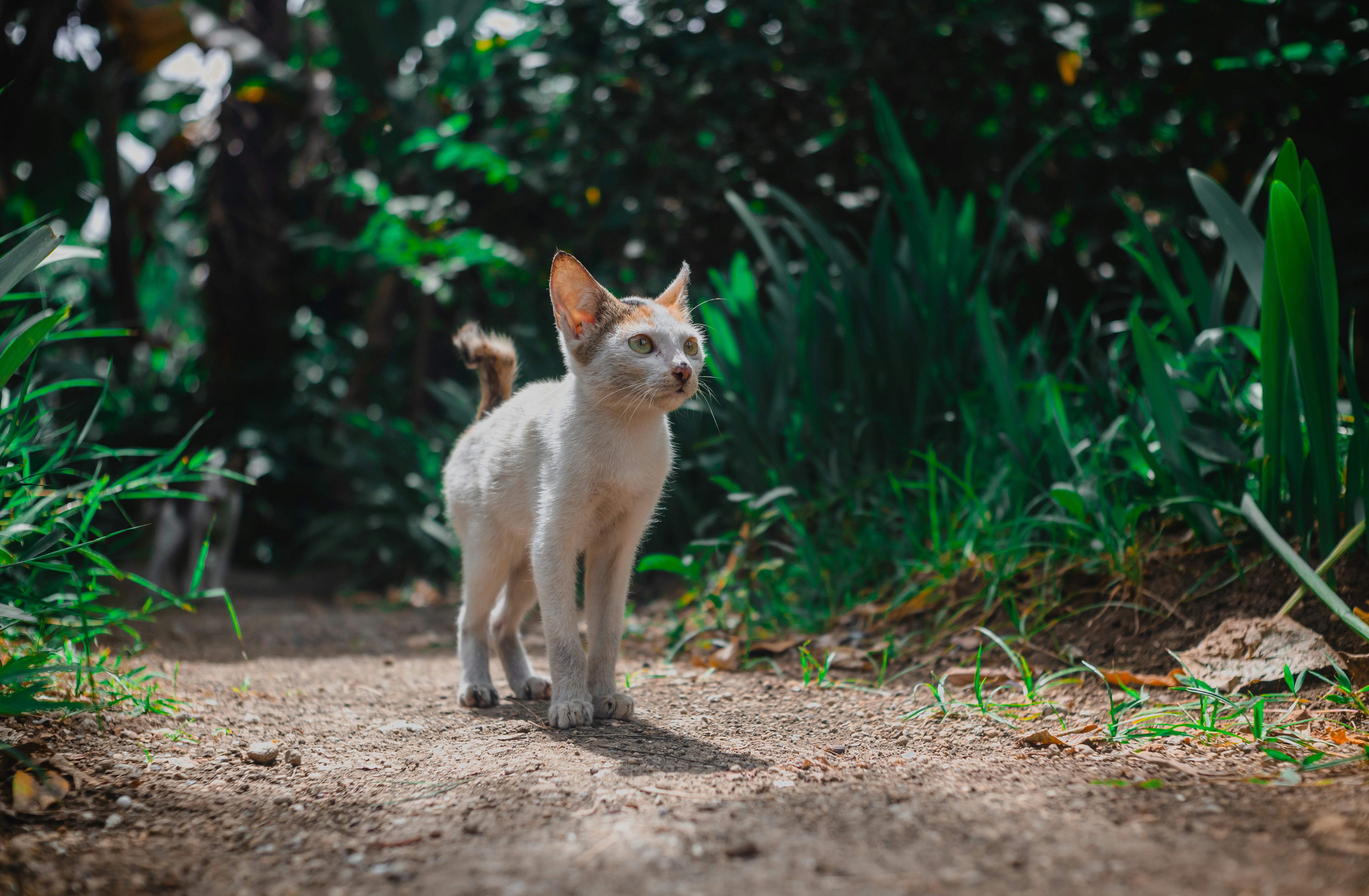 Photo by roadahead_2223