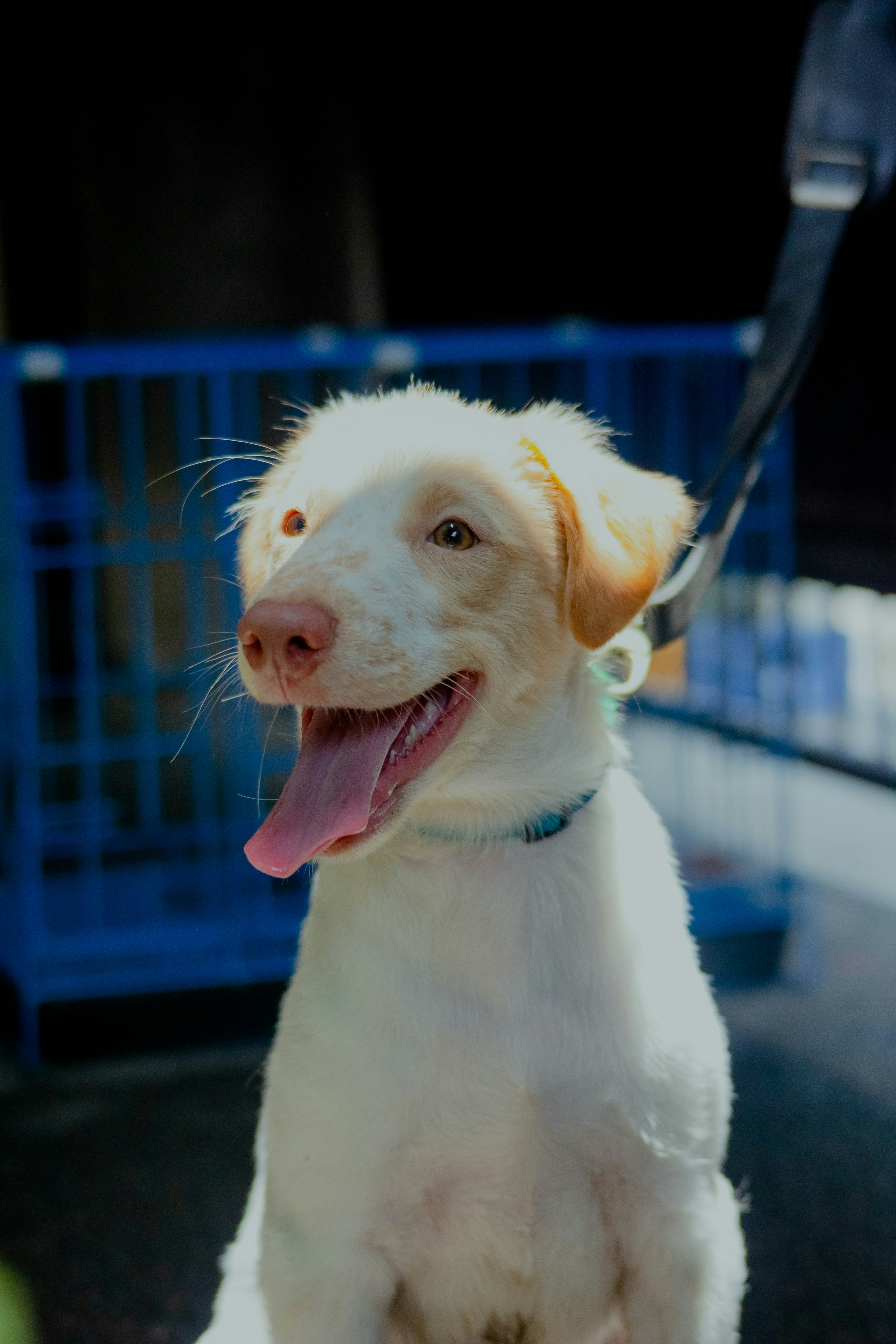 Photo by roadahead_2223