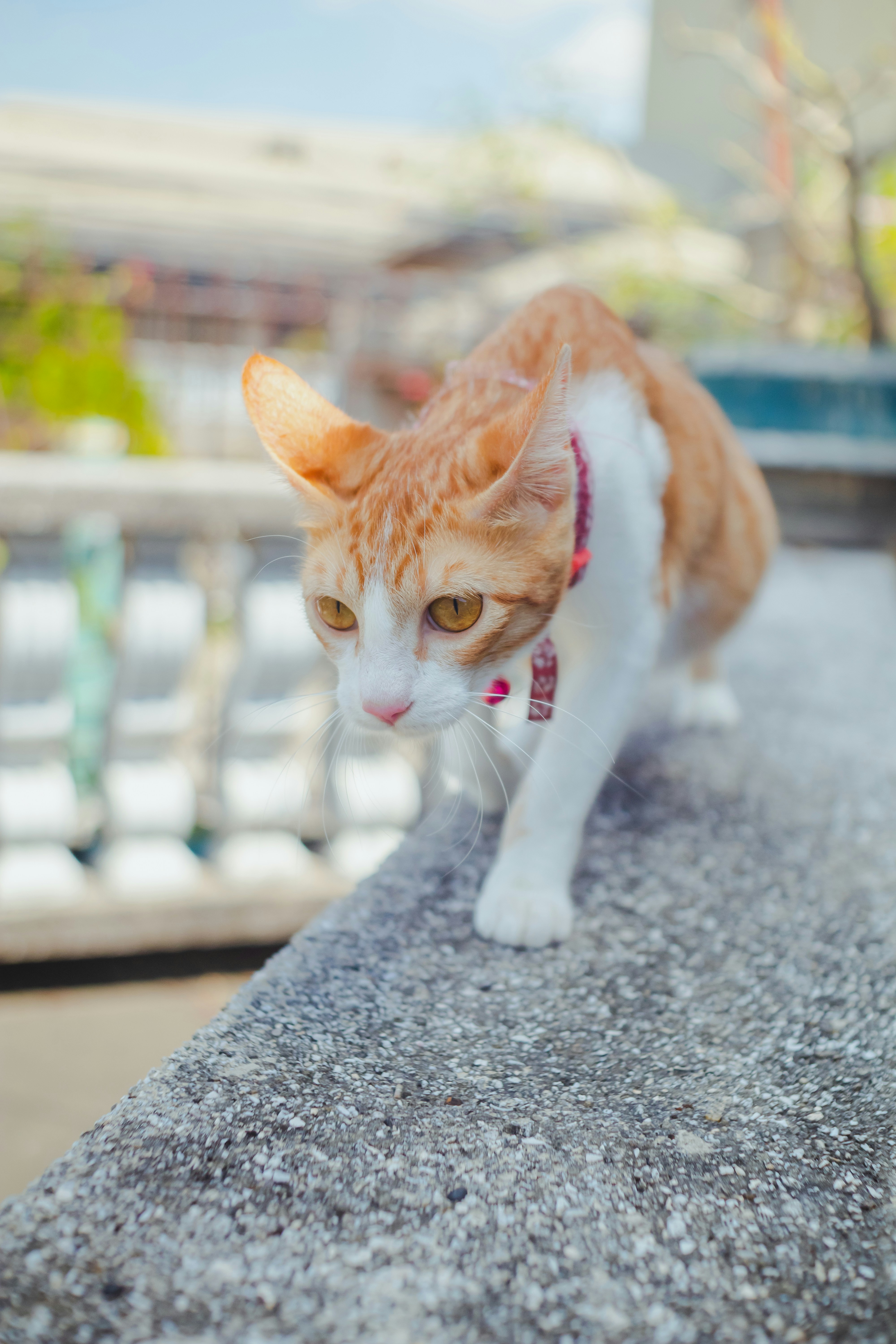 Photo by roadahead_2223