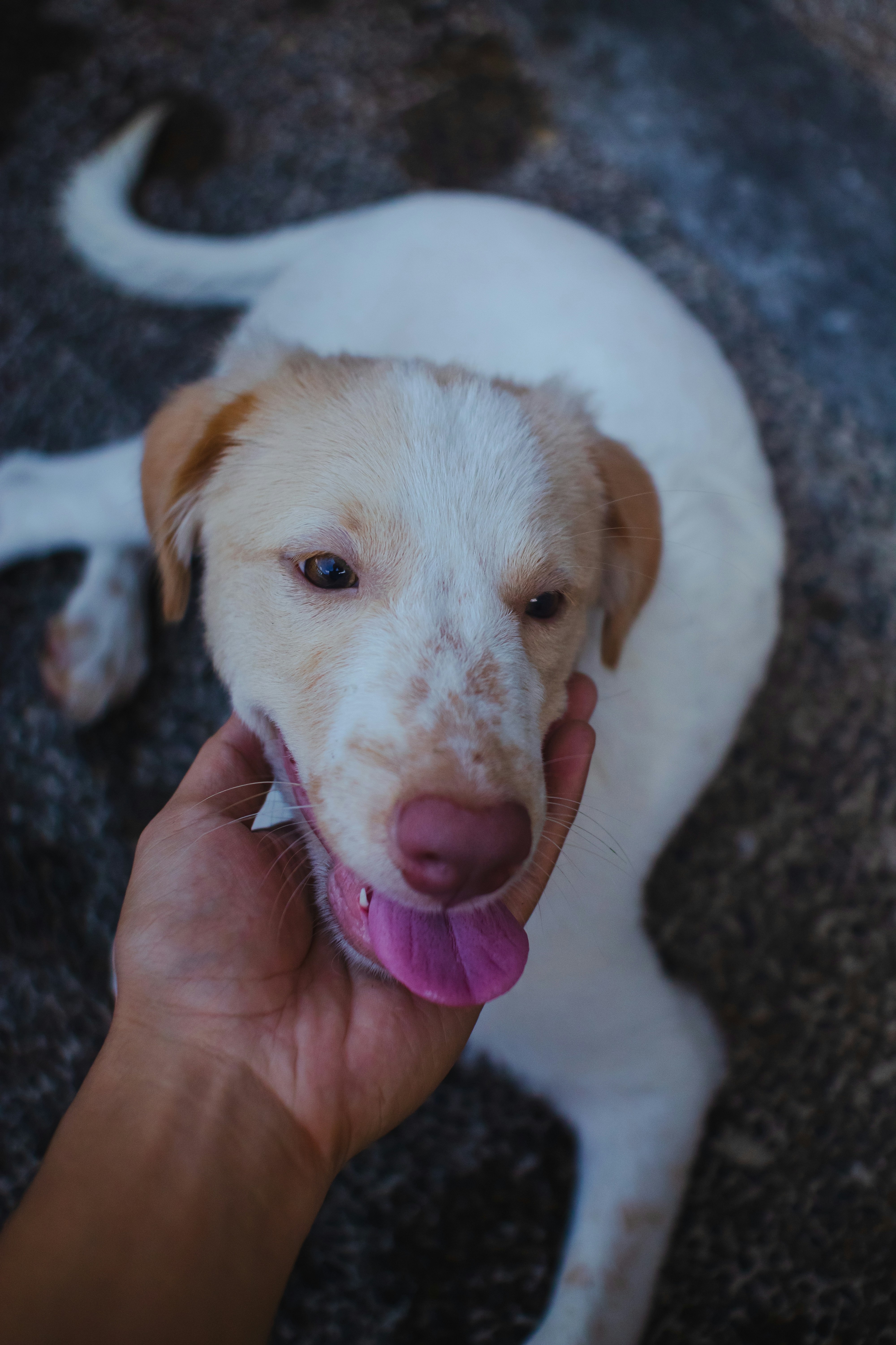 Photo by roadahead_2223