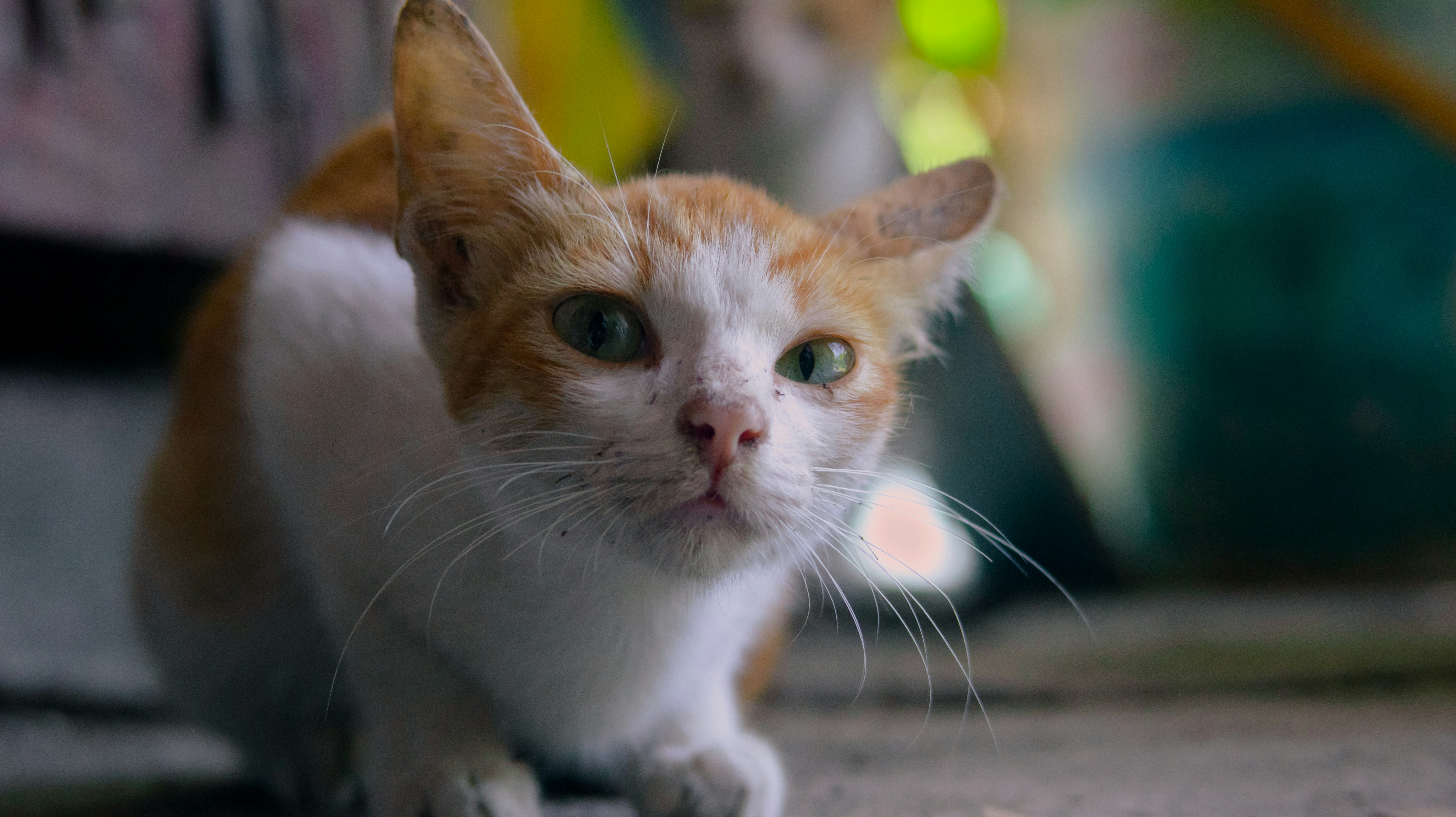 Photo by roadahead_2223