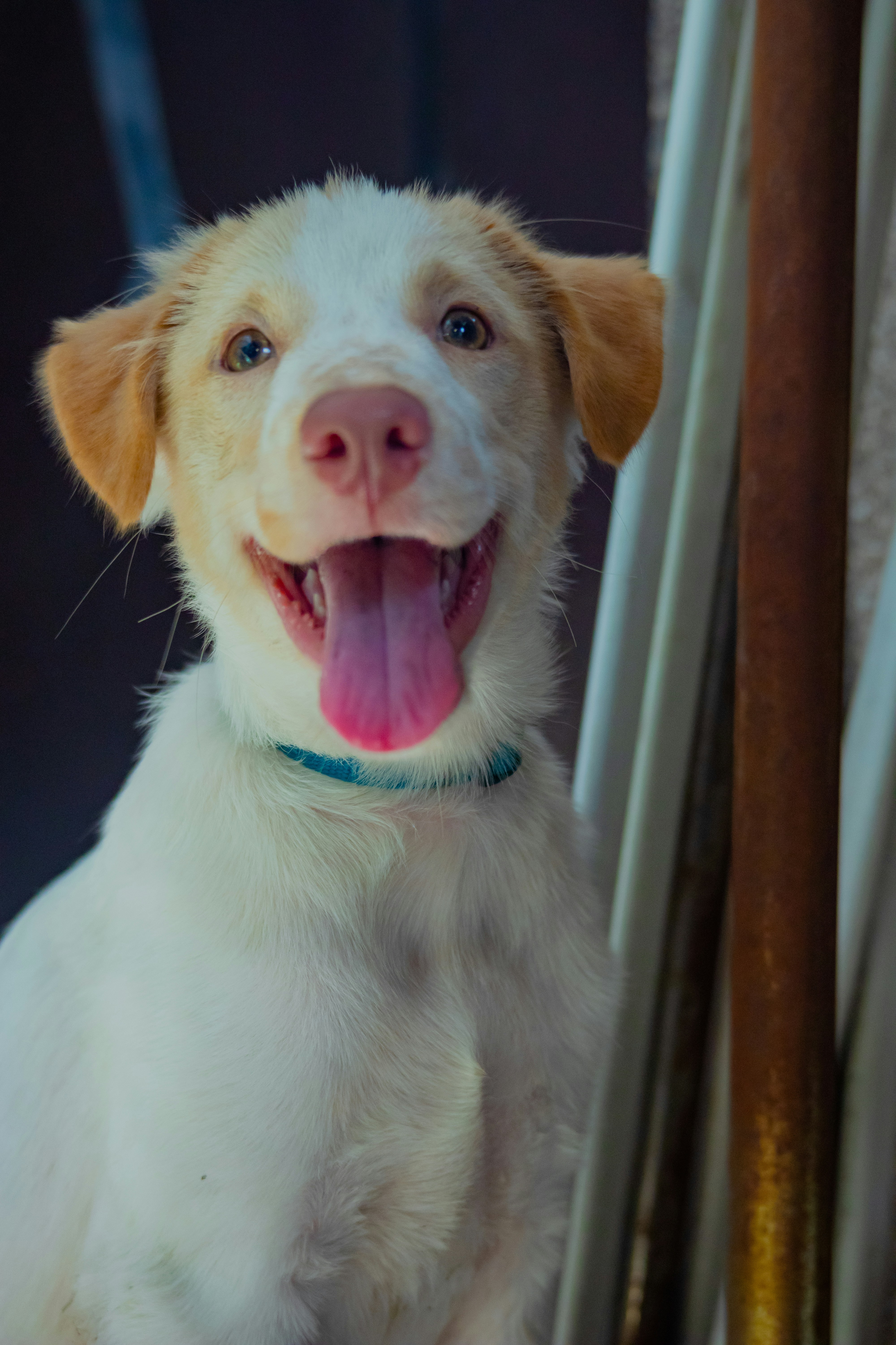 Photo by roadahead_2223