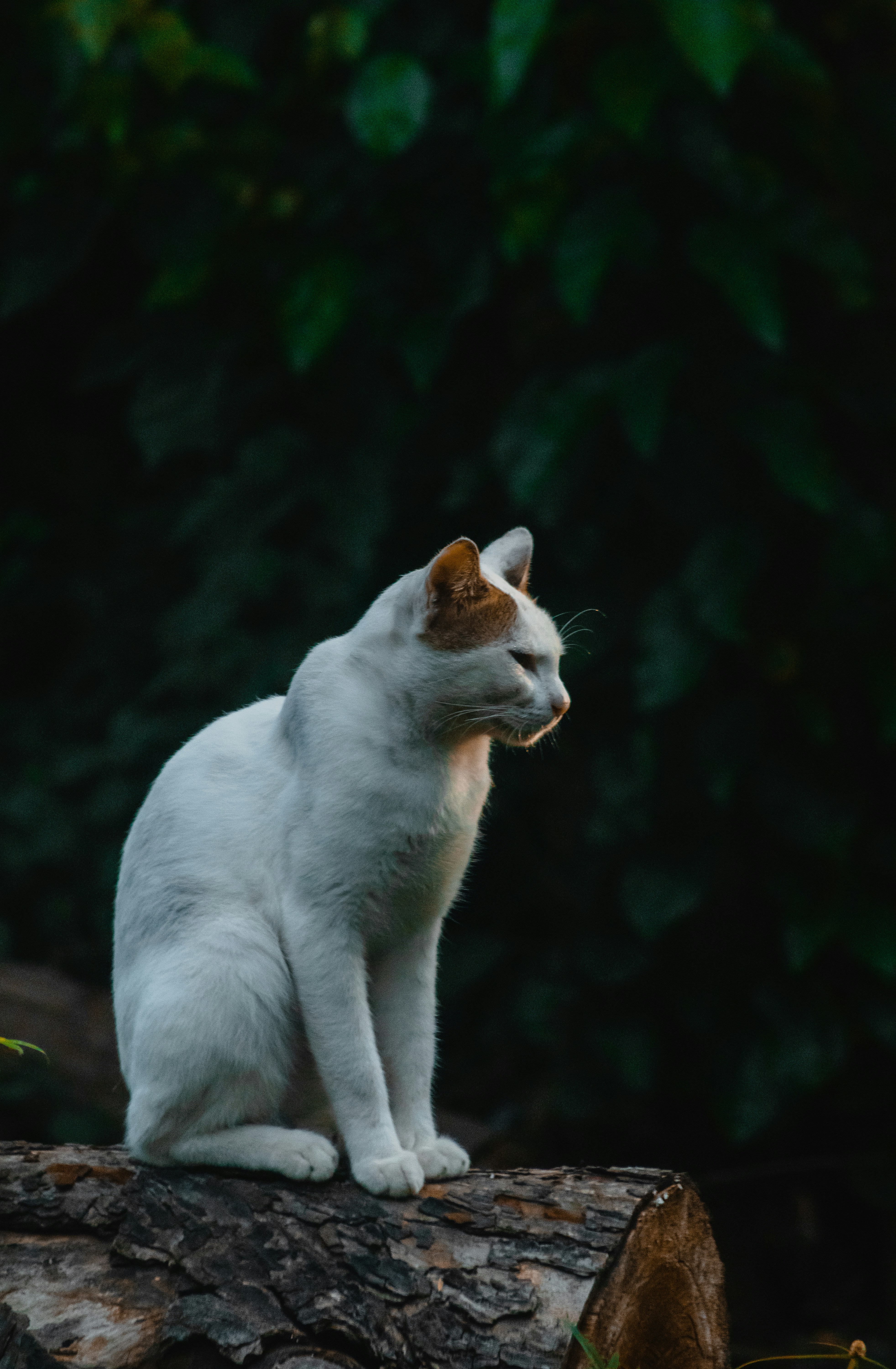 Photo by roadahead_2223