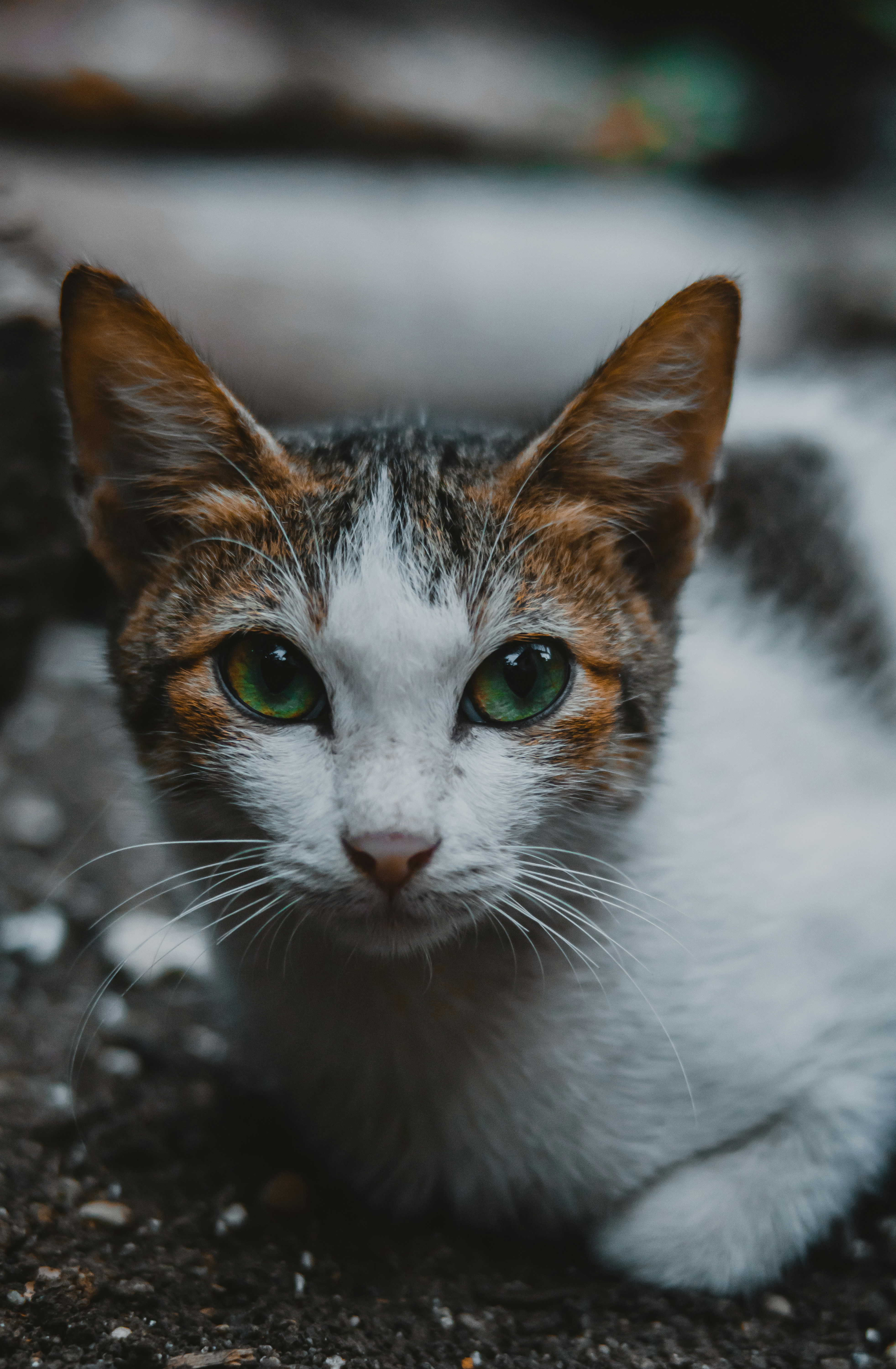 Photo by roadahead_2223