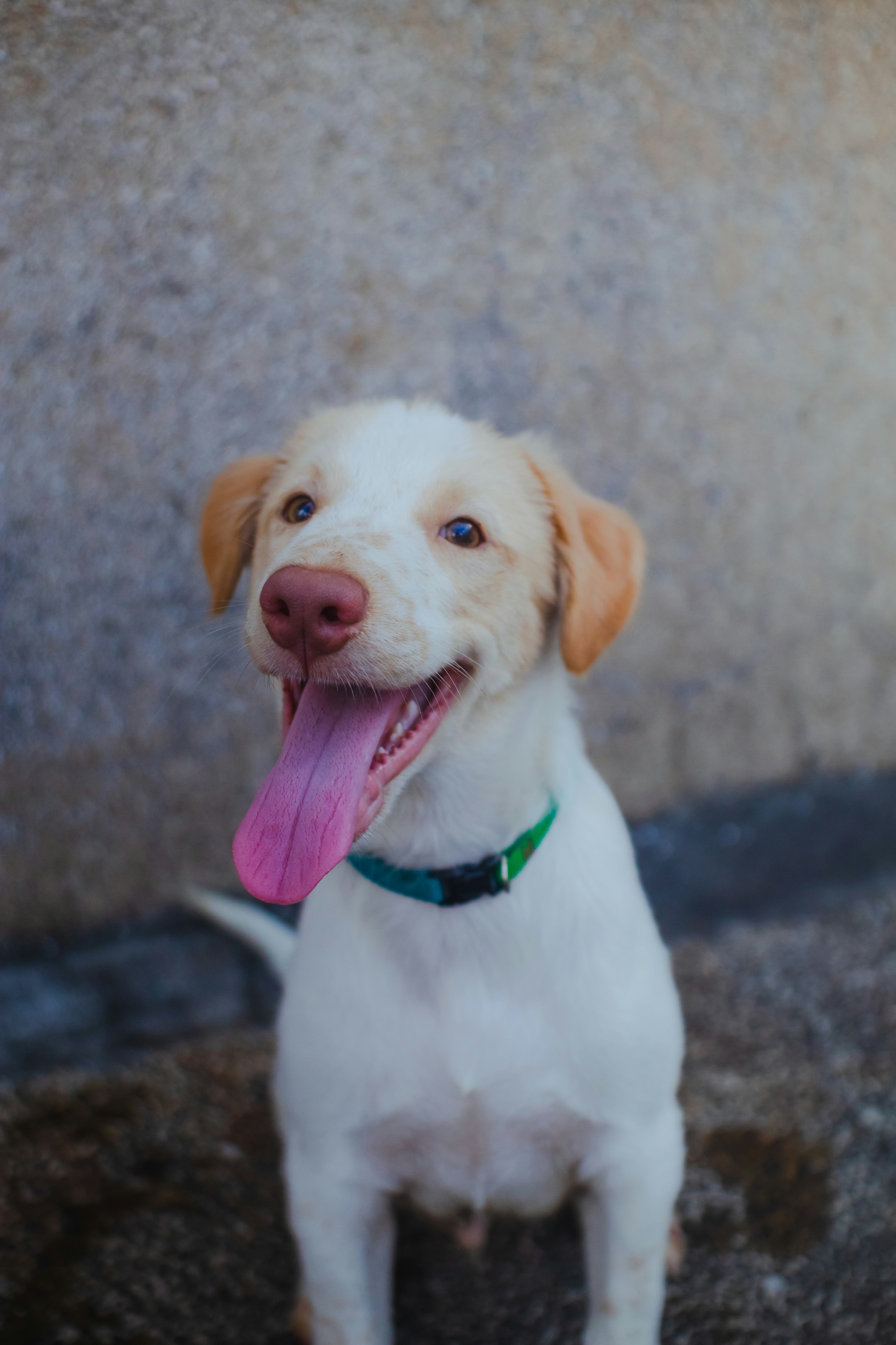 Photo by roadahead_2223