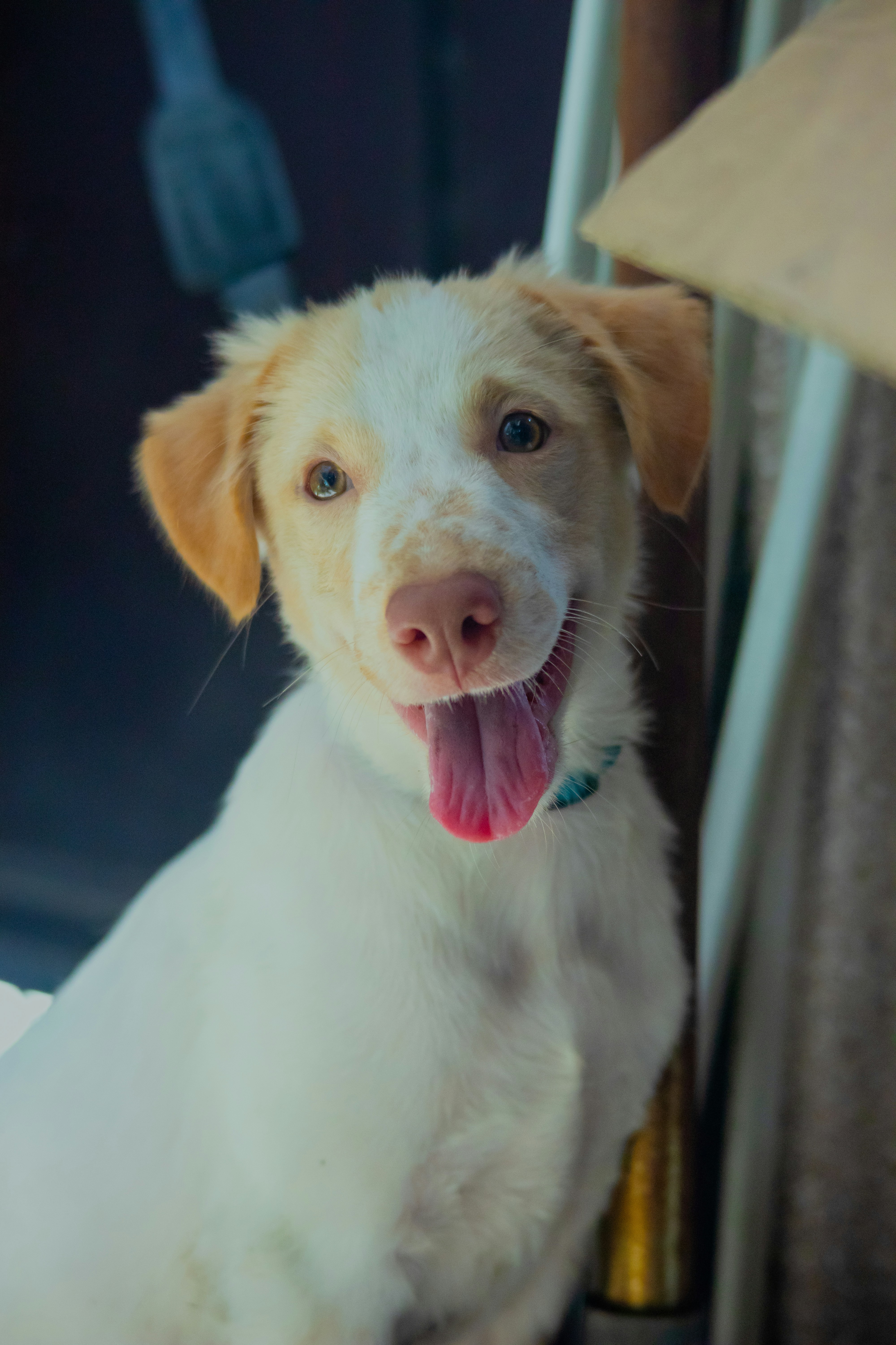 Photo by roadahead_2223