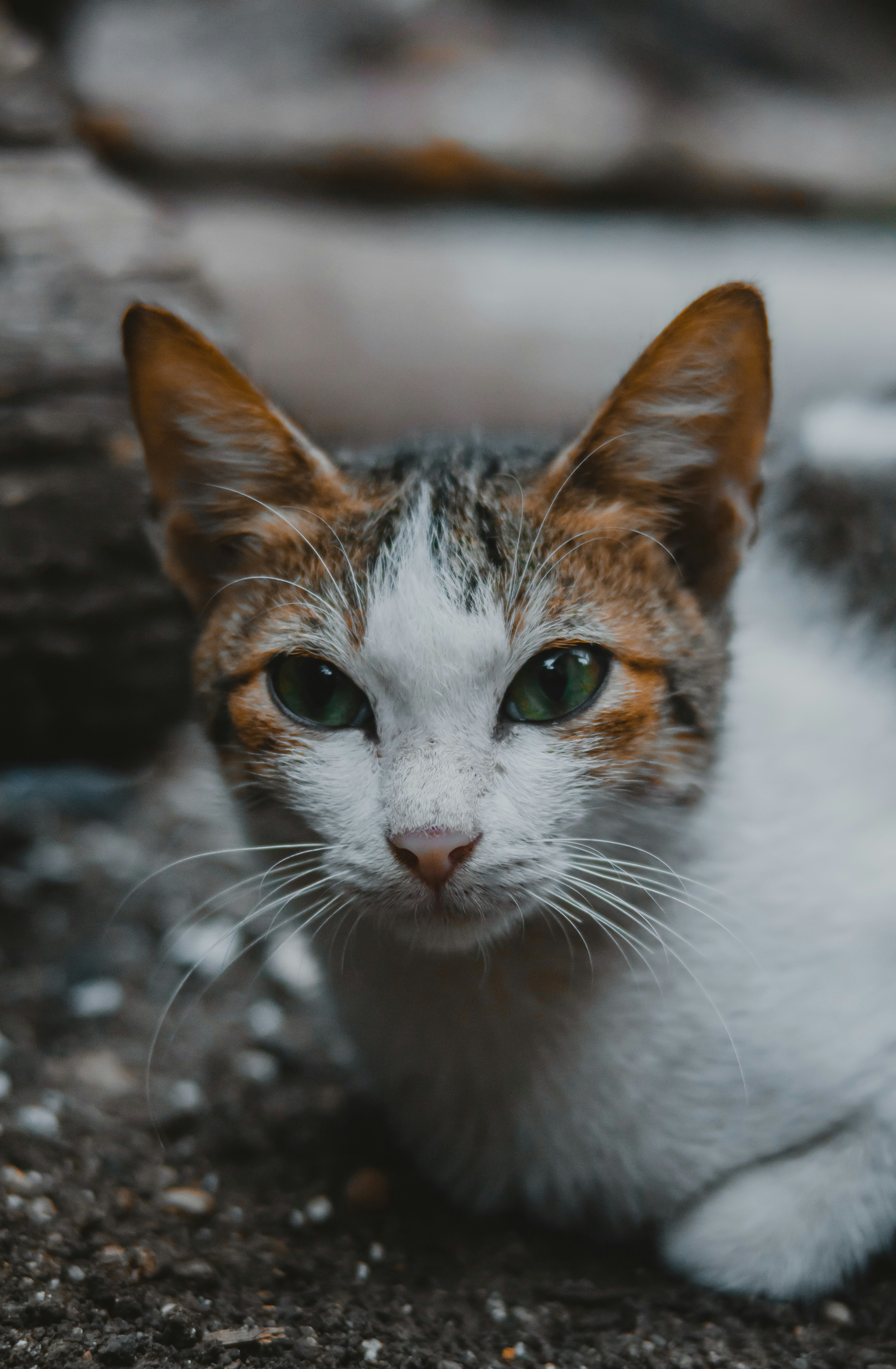 Photo by roadahead_2223