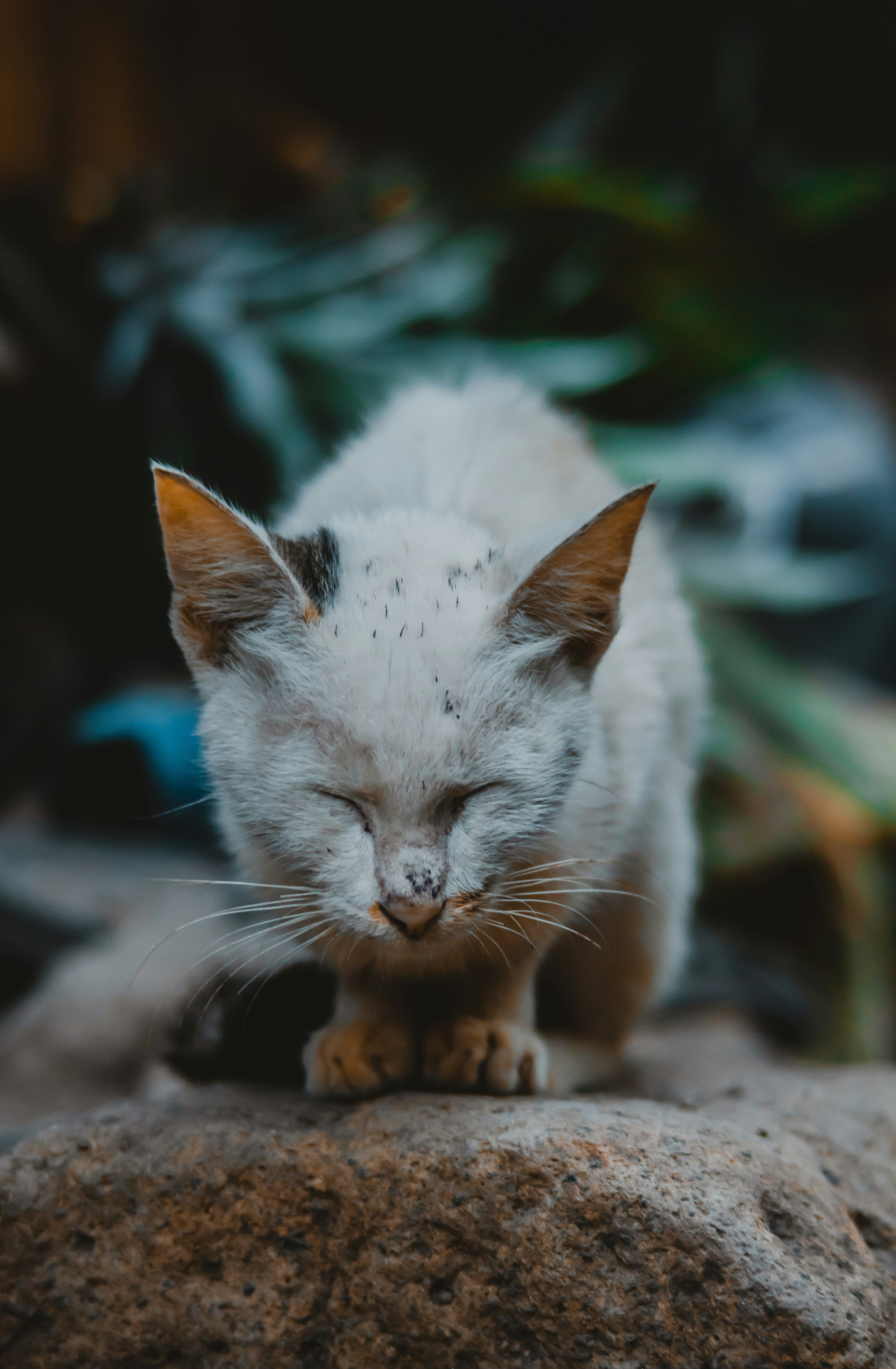 Photo by roadahead_2223