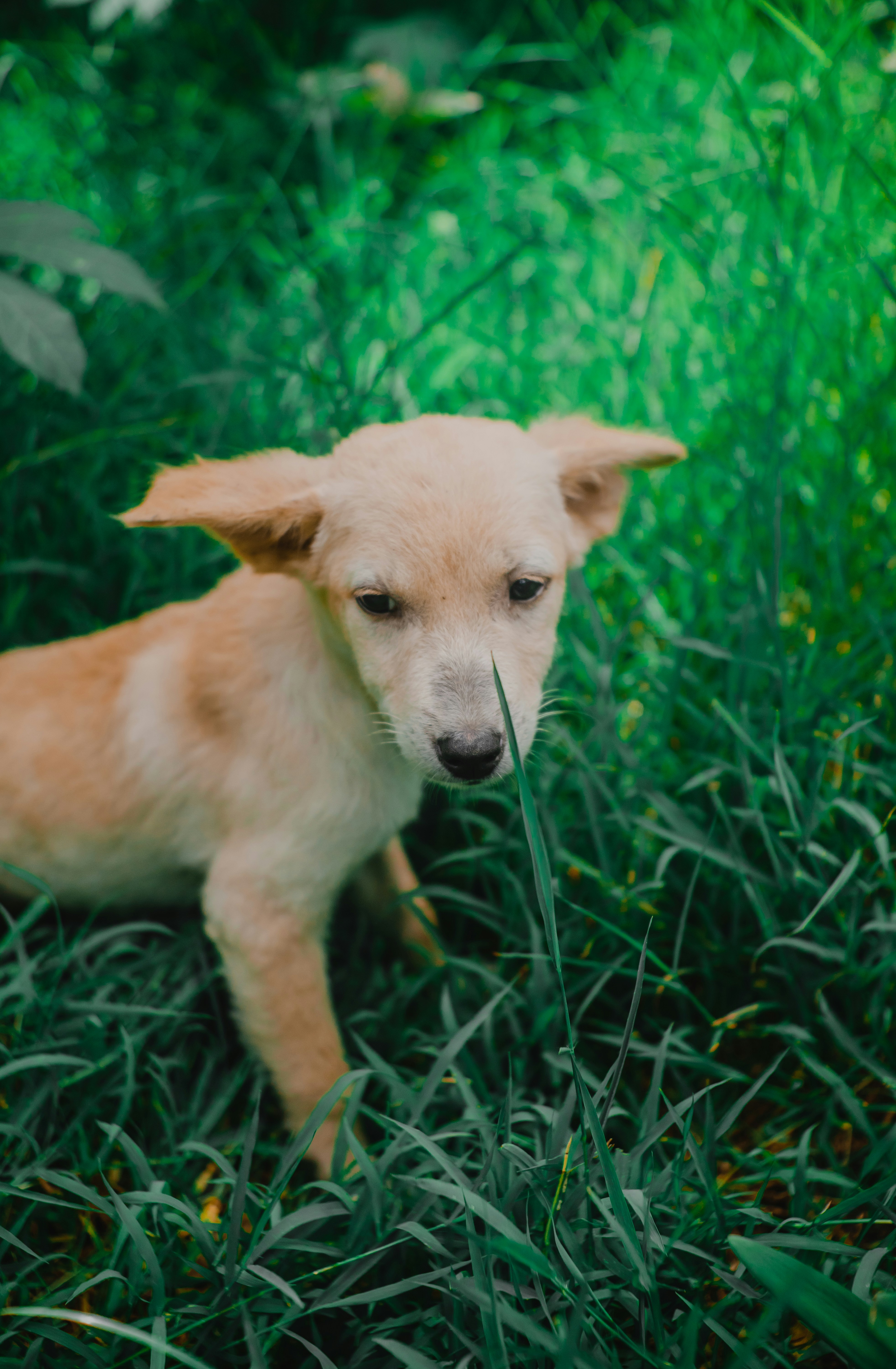 Photo by roadahead_2223