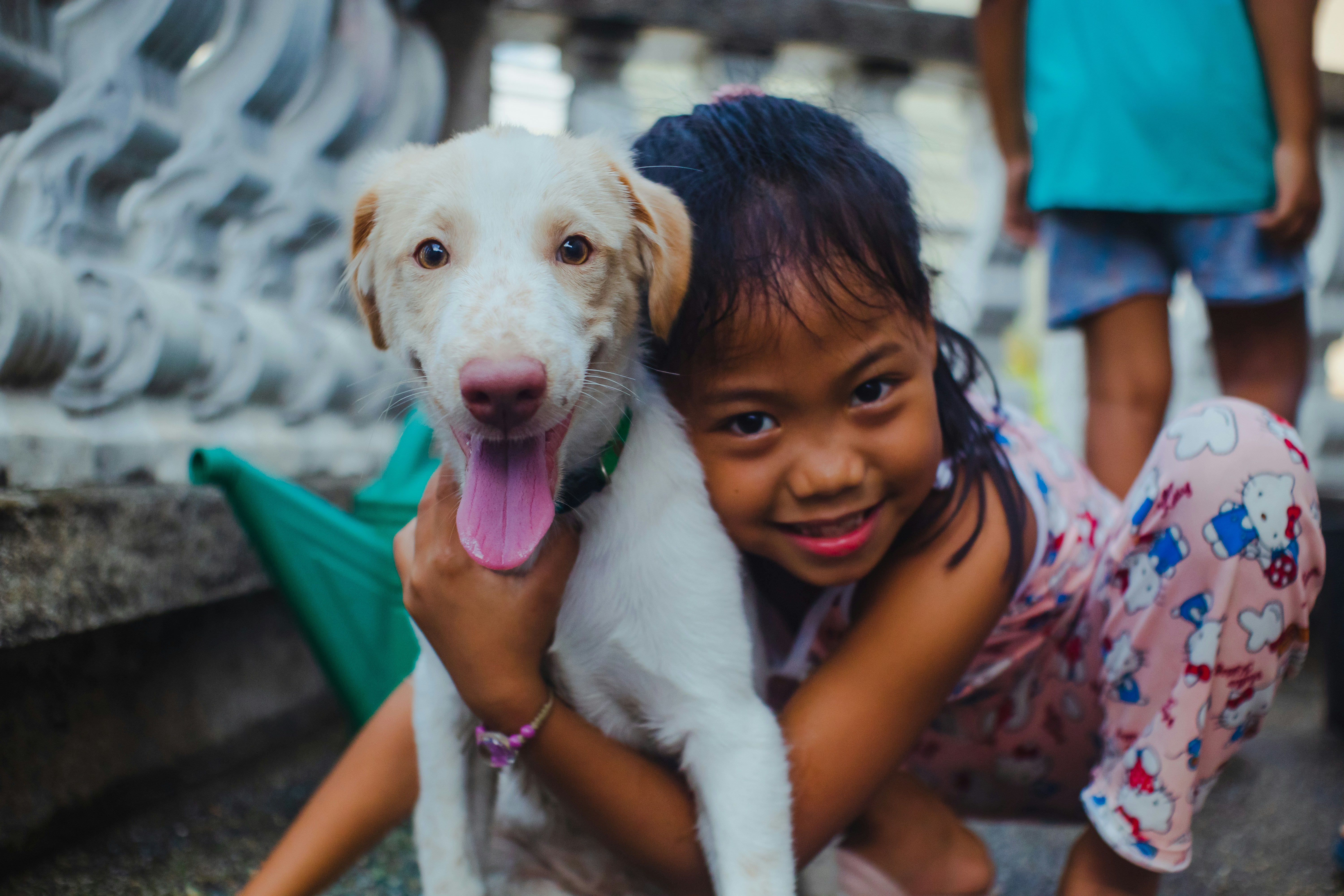 Unleashing the Power of Social Media: Promote Pet Charities Like a Pro!