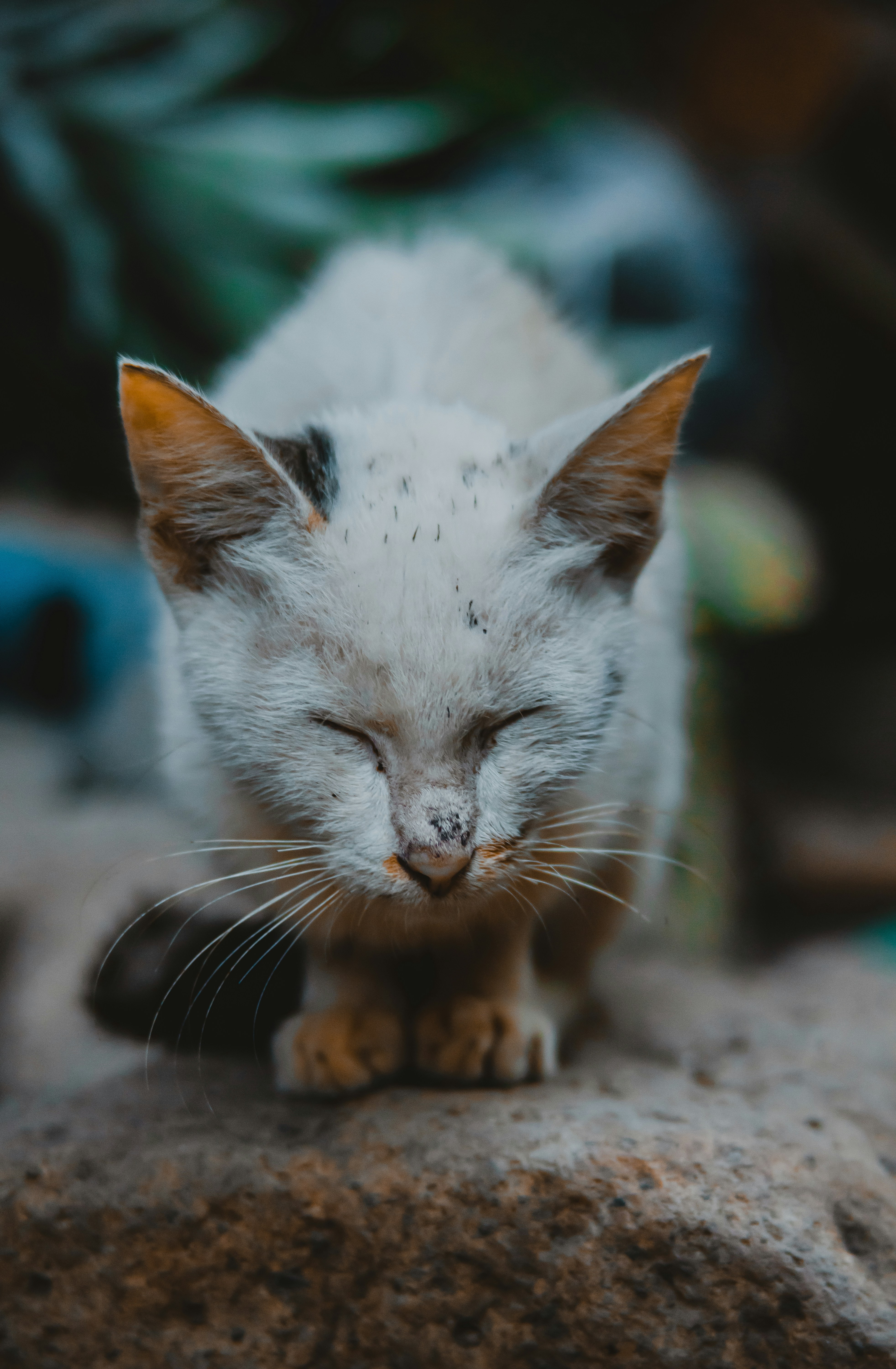 Photo by roadahead_2223