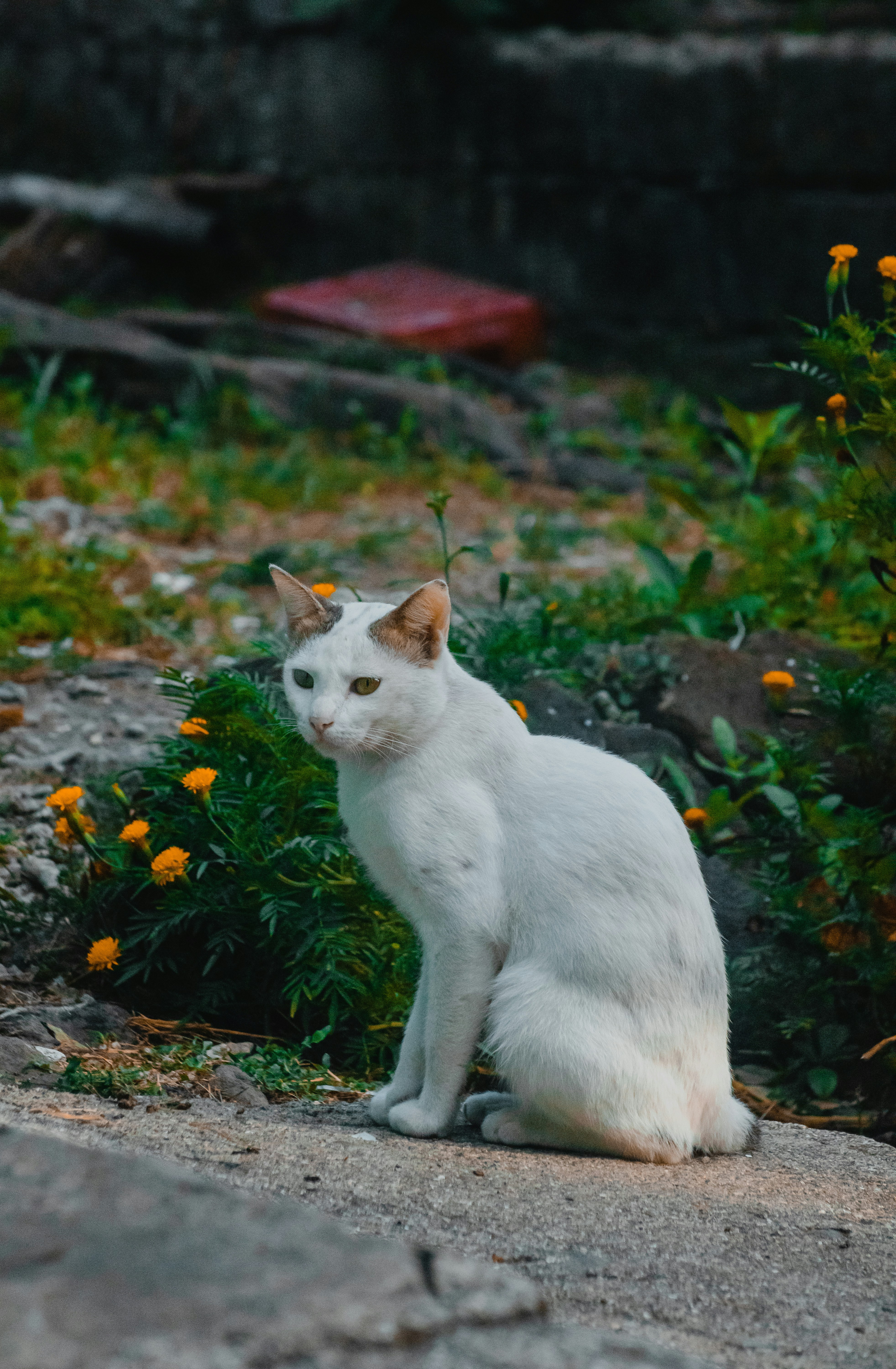 Photo by roadahead_2223