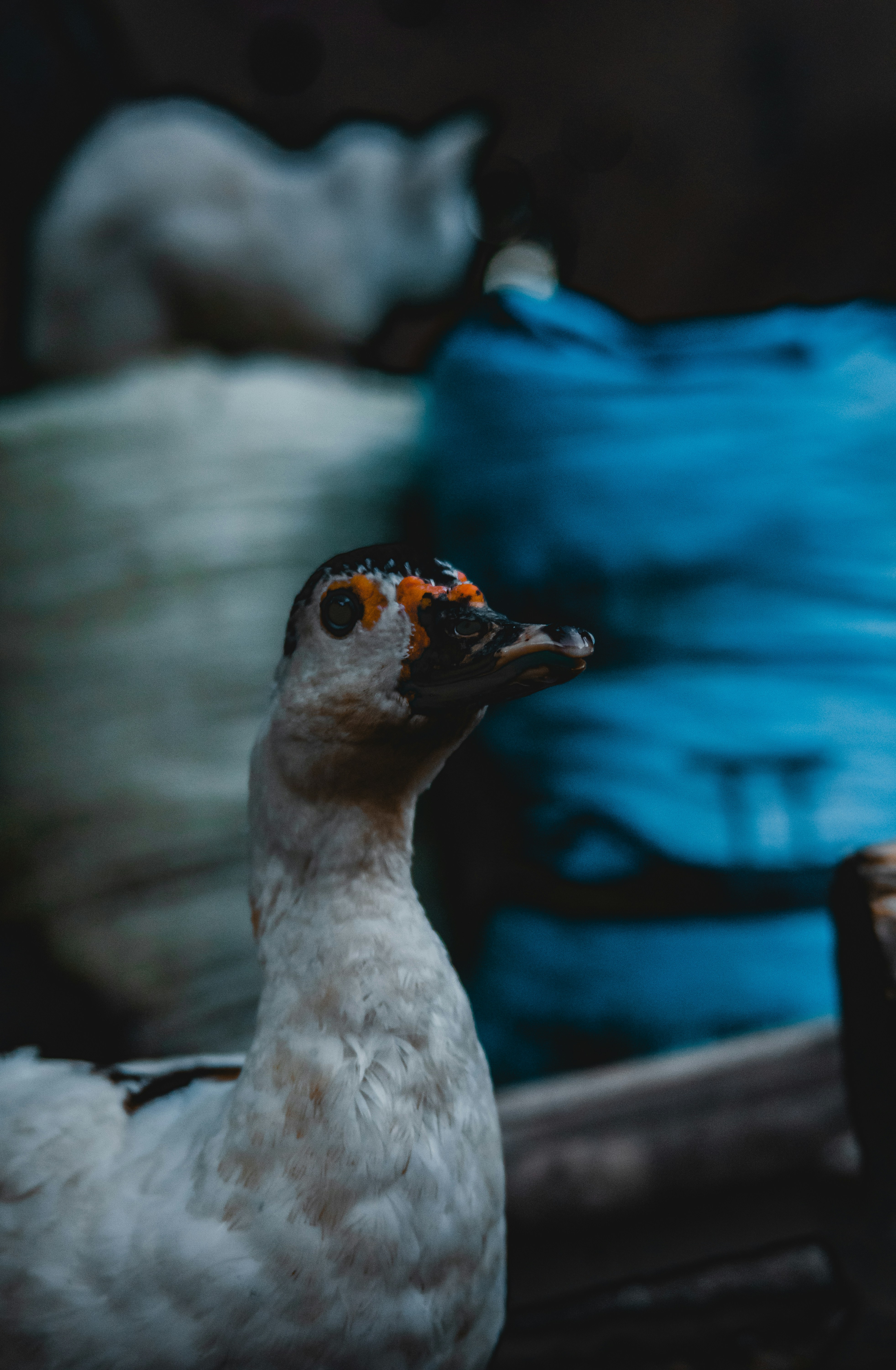 Photo by roadahead_2223