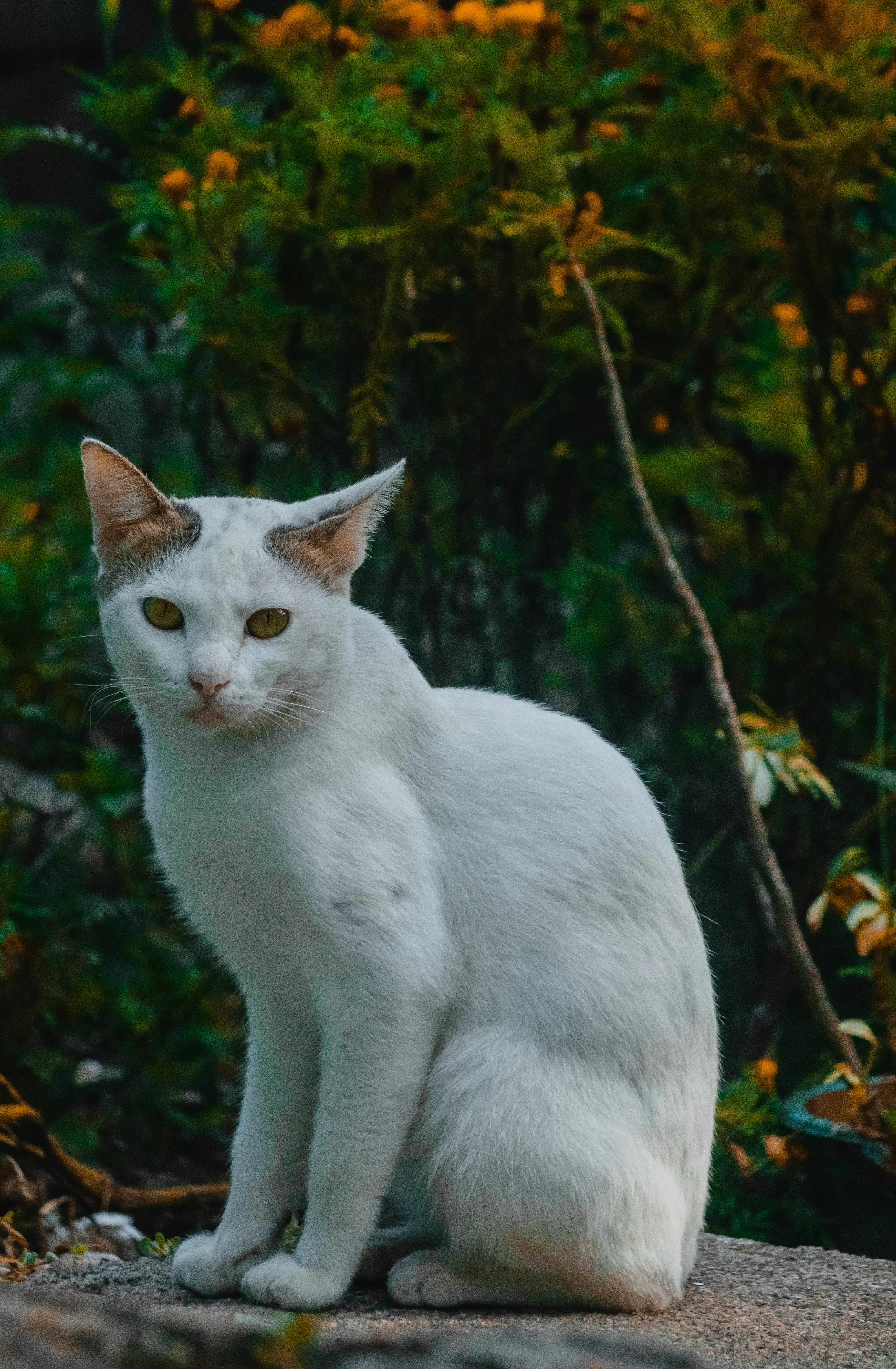 Photo by roadahead_2223