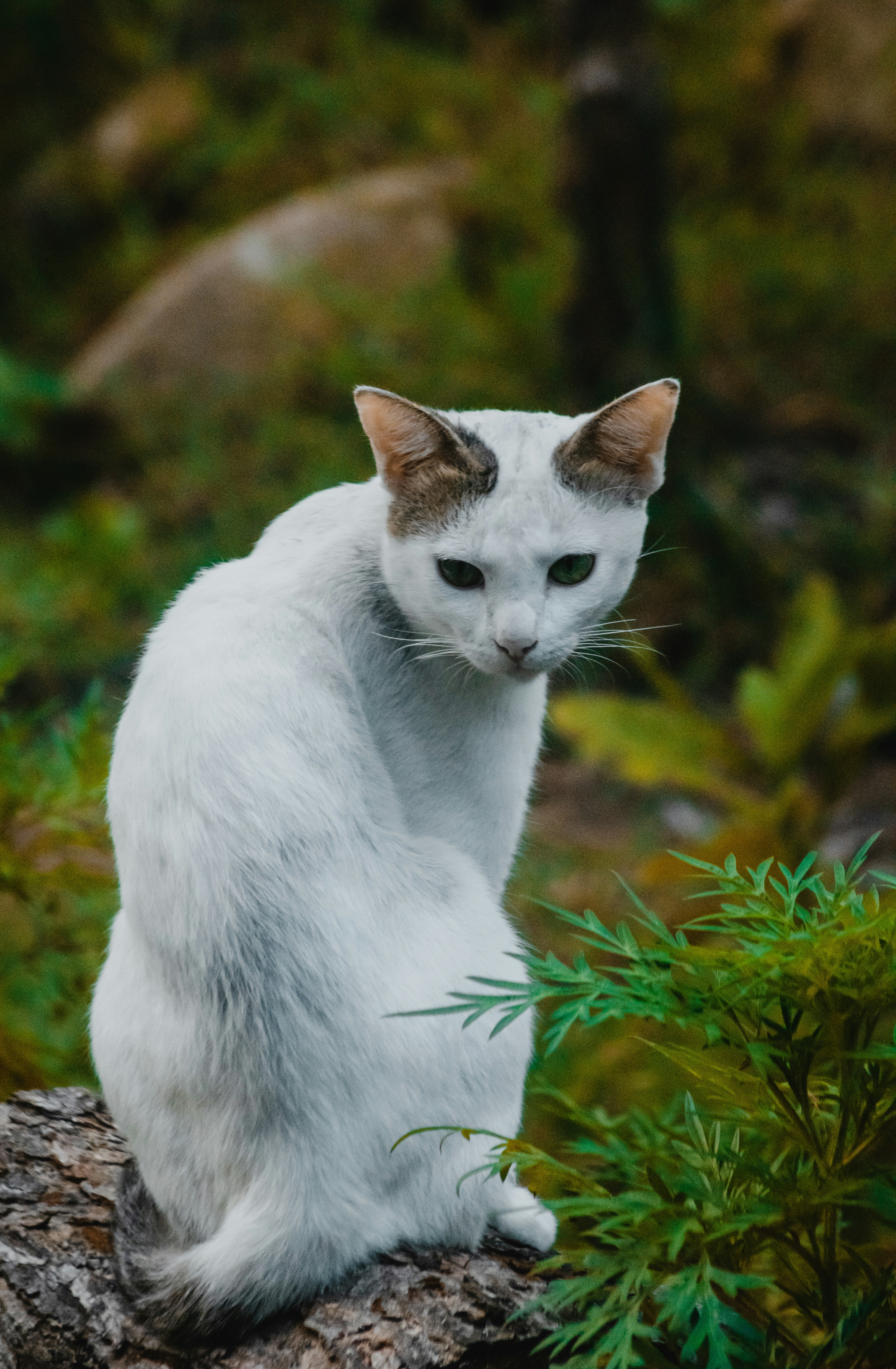 Photo by roadahead_2223