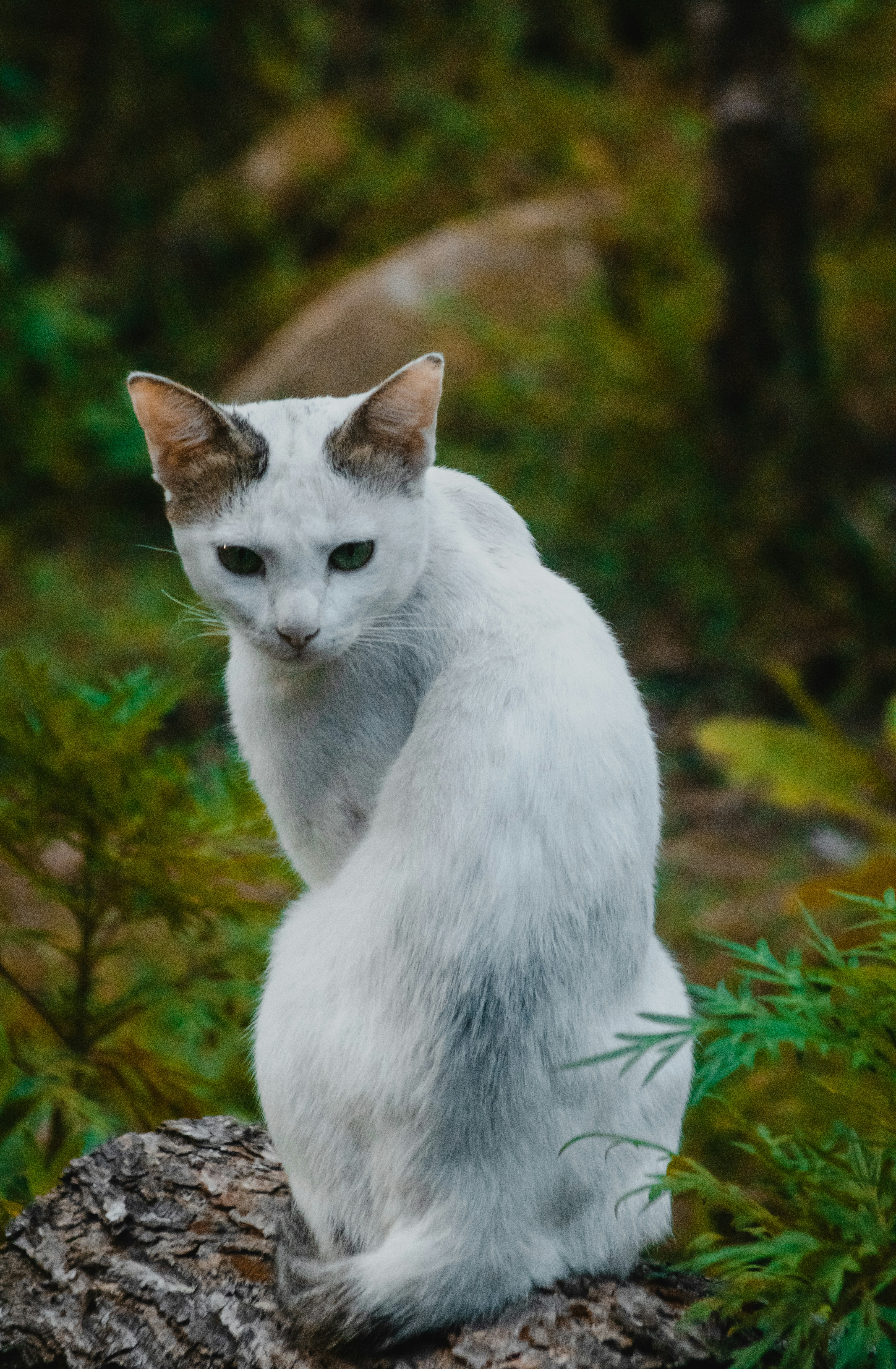 Photo by roadahead_2223