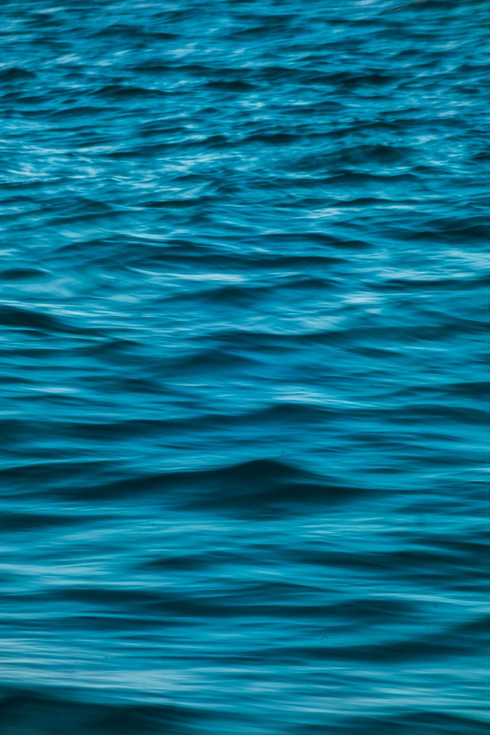 a body of water with ripples