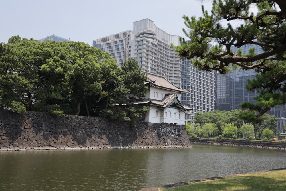 a body of water with trees and buildings in the background