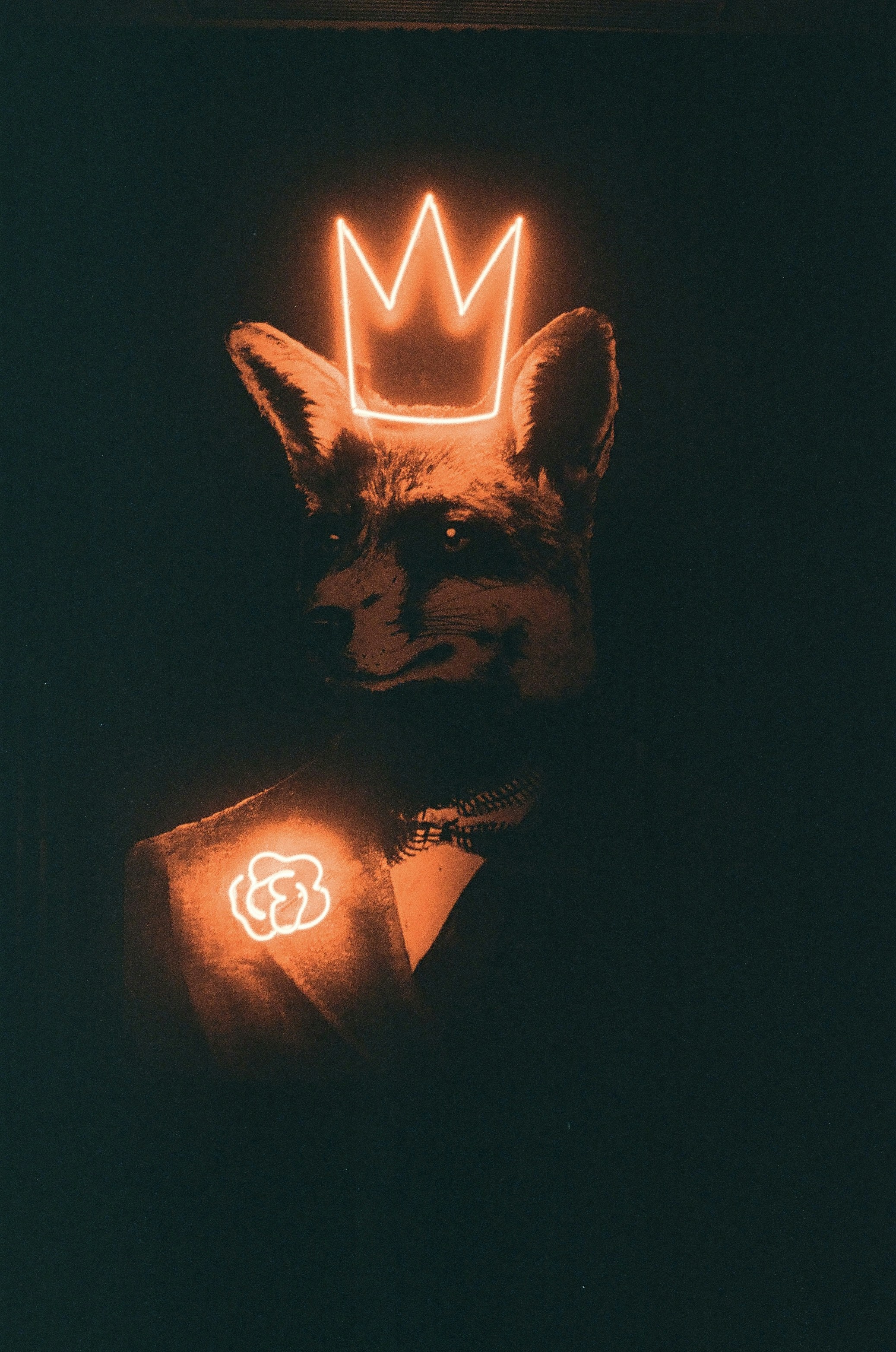 photo-1658454916132-a9f2a6a14d82?ixid=M3wxMjA3fDB8MXxzZWFyY2h8MTF8fHNhdHRhJTIwa2luZyUyMG9ubGluZXxlbnwwfHx8fDE3NTY0MjI2Njl8MA\u0026ixlib=rb-4.1.0