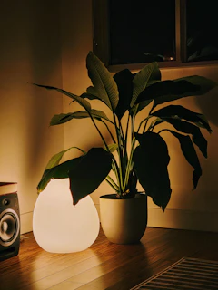 A compact air purifier glowing softly in a cozy living room with plants nearby.