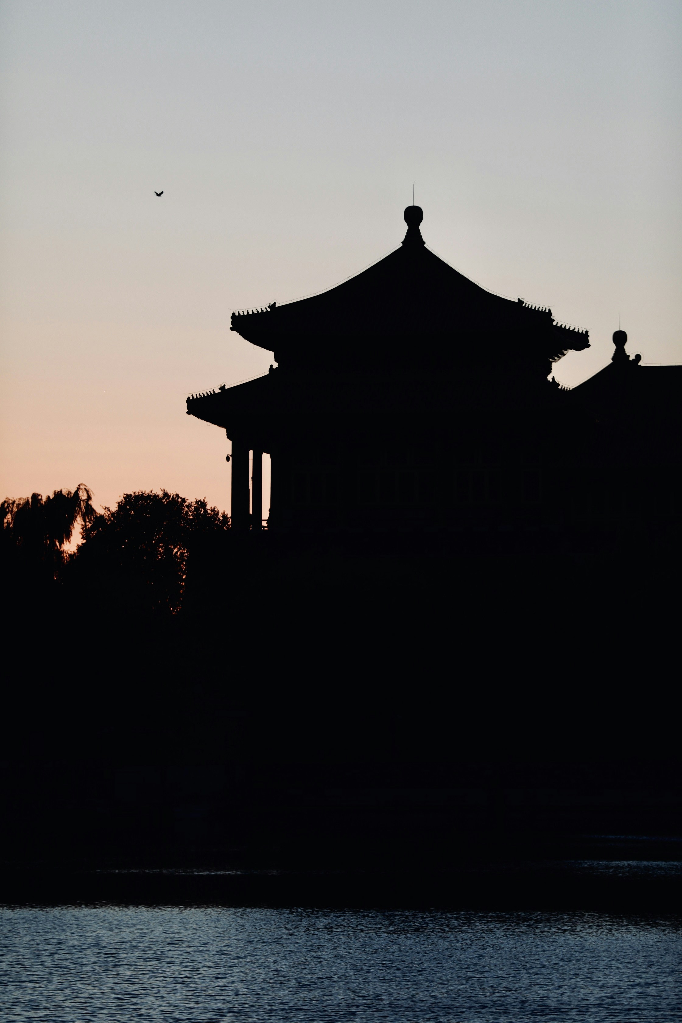 AMA Ben "Çin'in Geçmişi: Pekin'in Okumanızı...