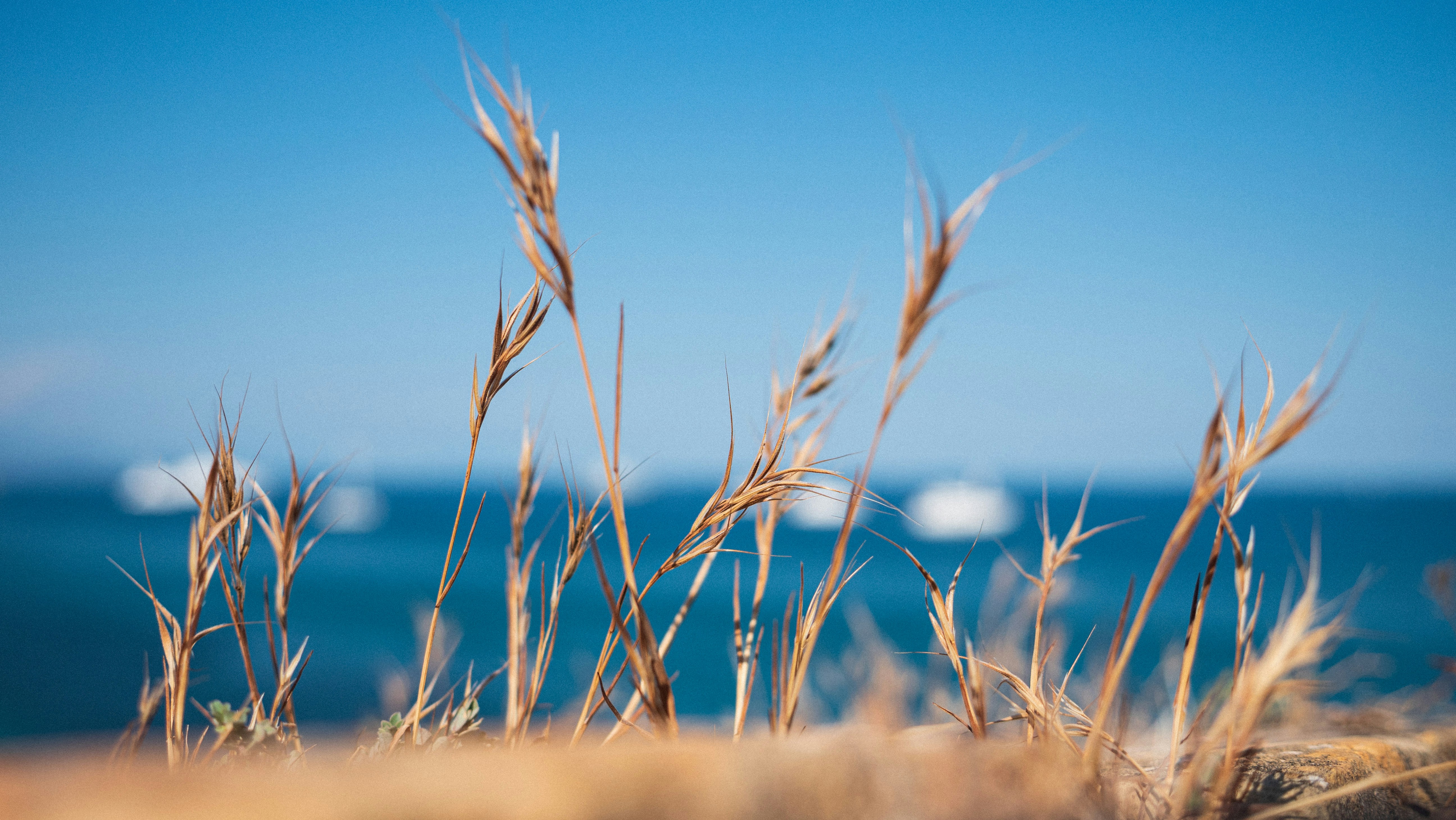 Photo by guillaumechabrol